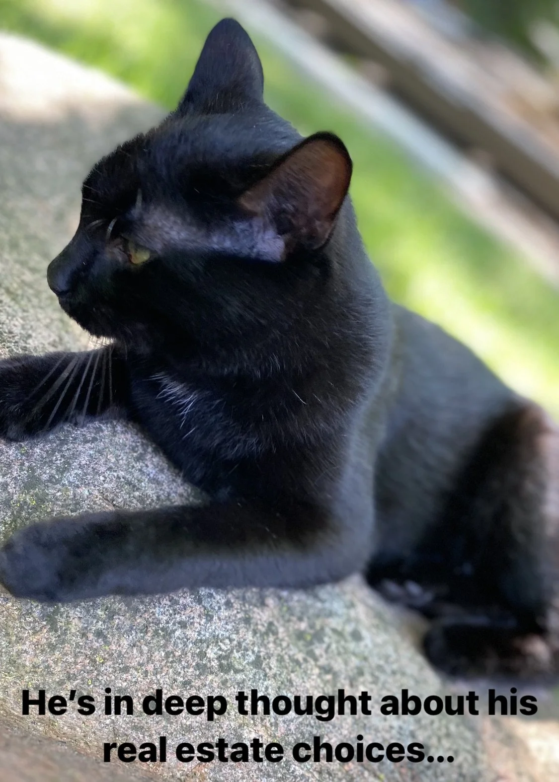 When to settle, when to consider, when to walk away, and when to commit...