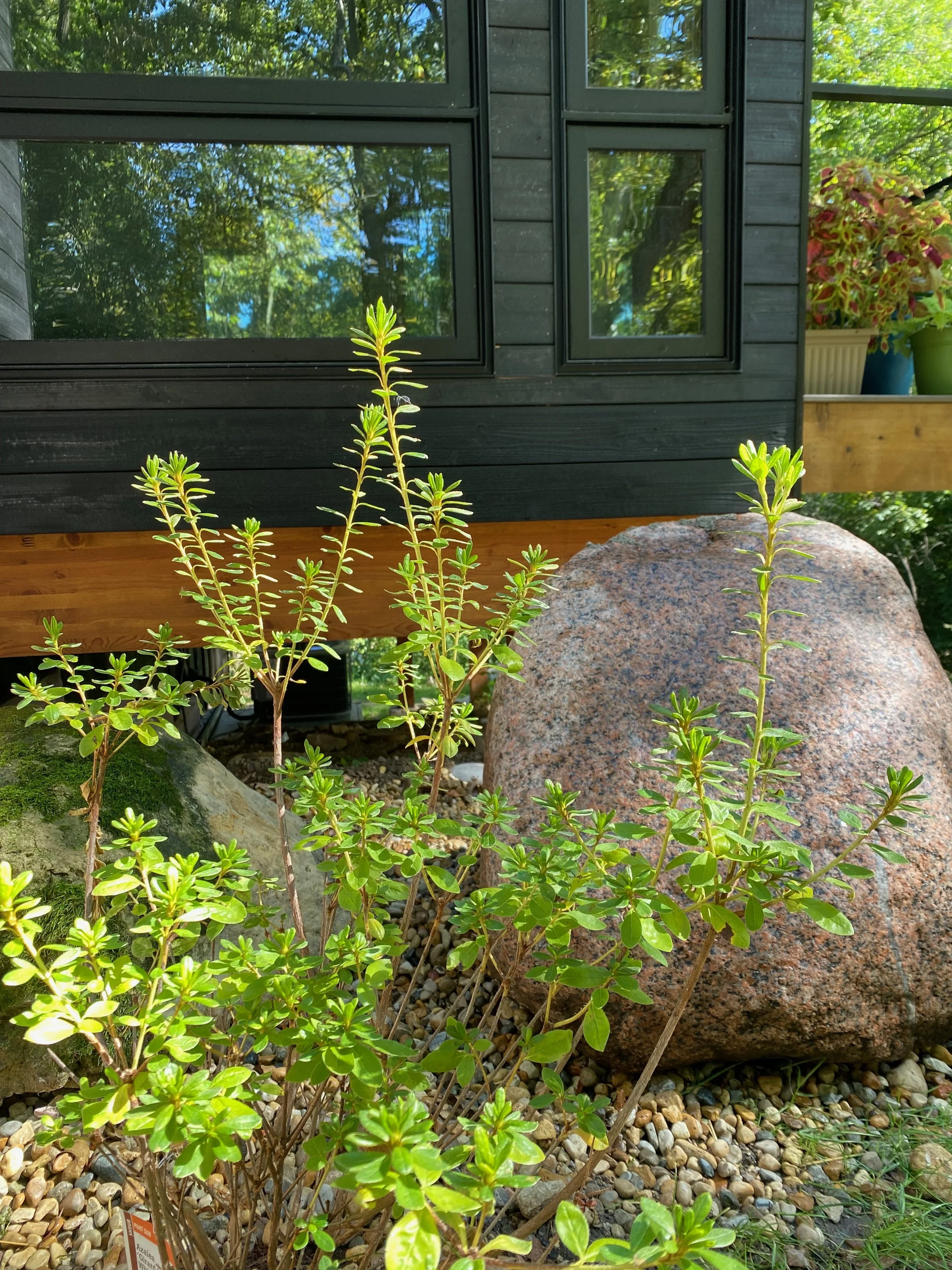 Are you using the right tools?