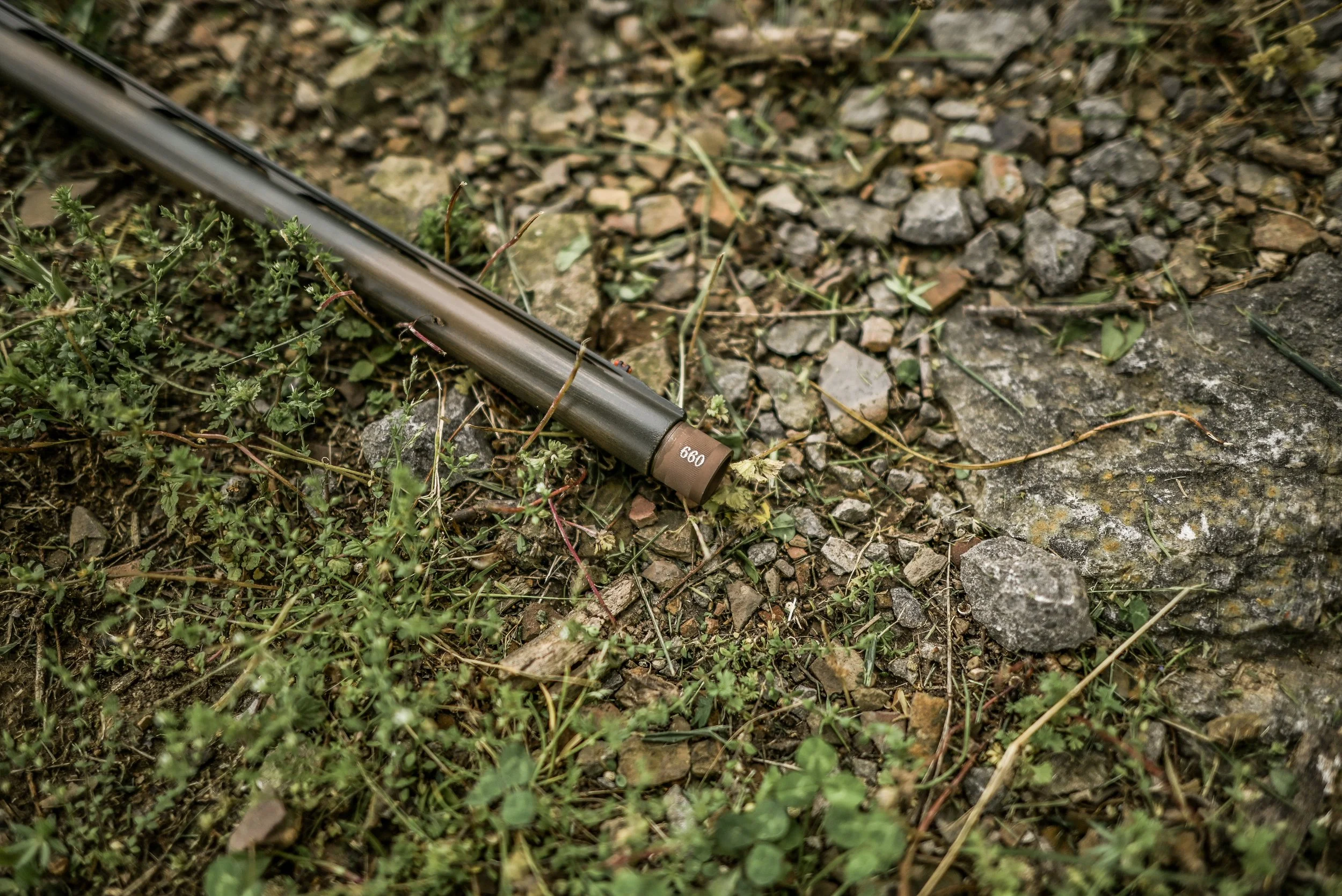 DSC_4285.jpg