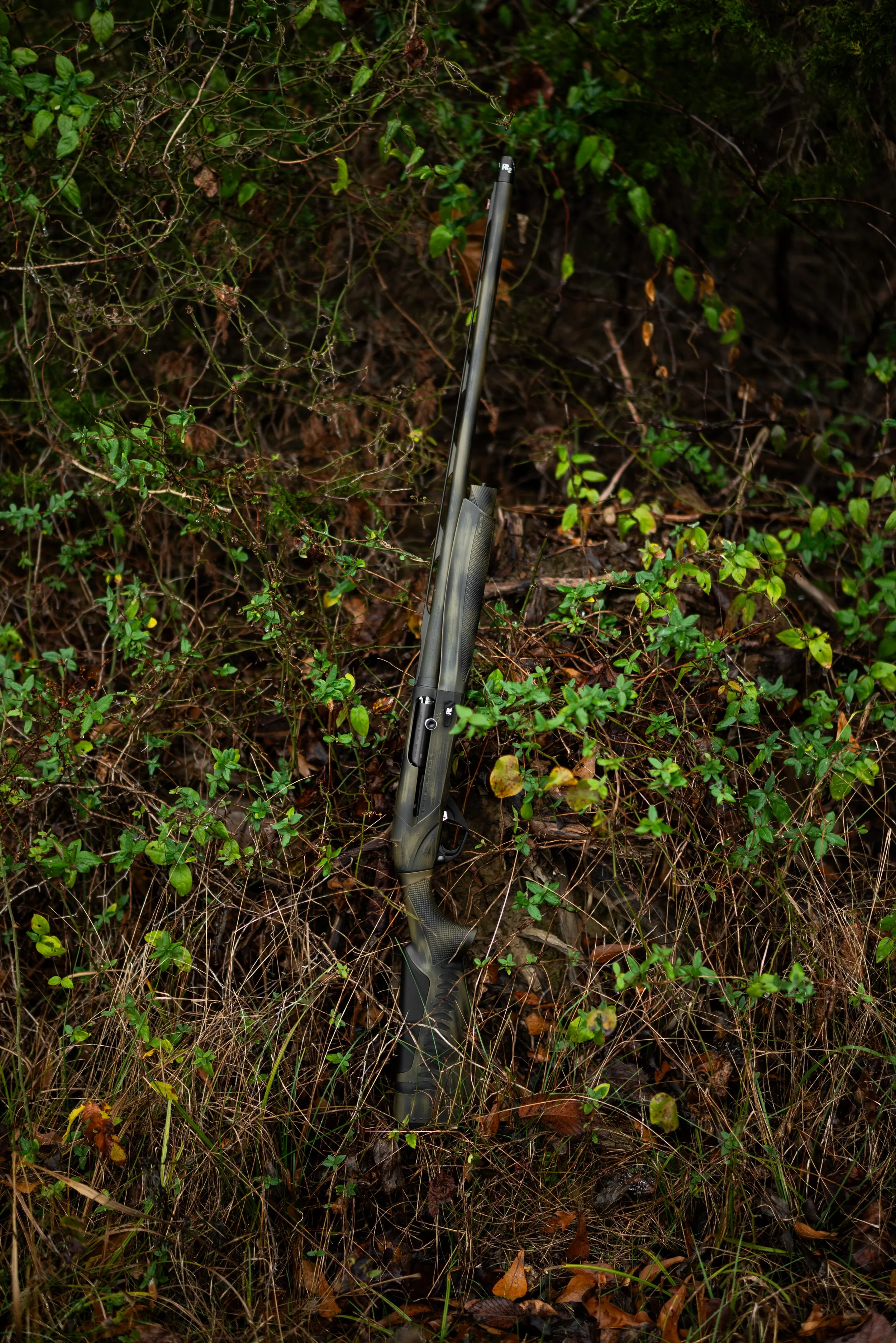 HCH_3643-2.jpg