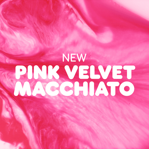 image-asset copy 2.gif