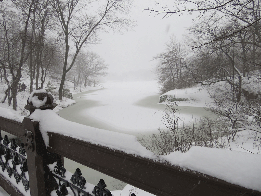 Oak-Bridge-Blizzard-1-23-2016-002.gif