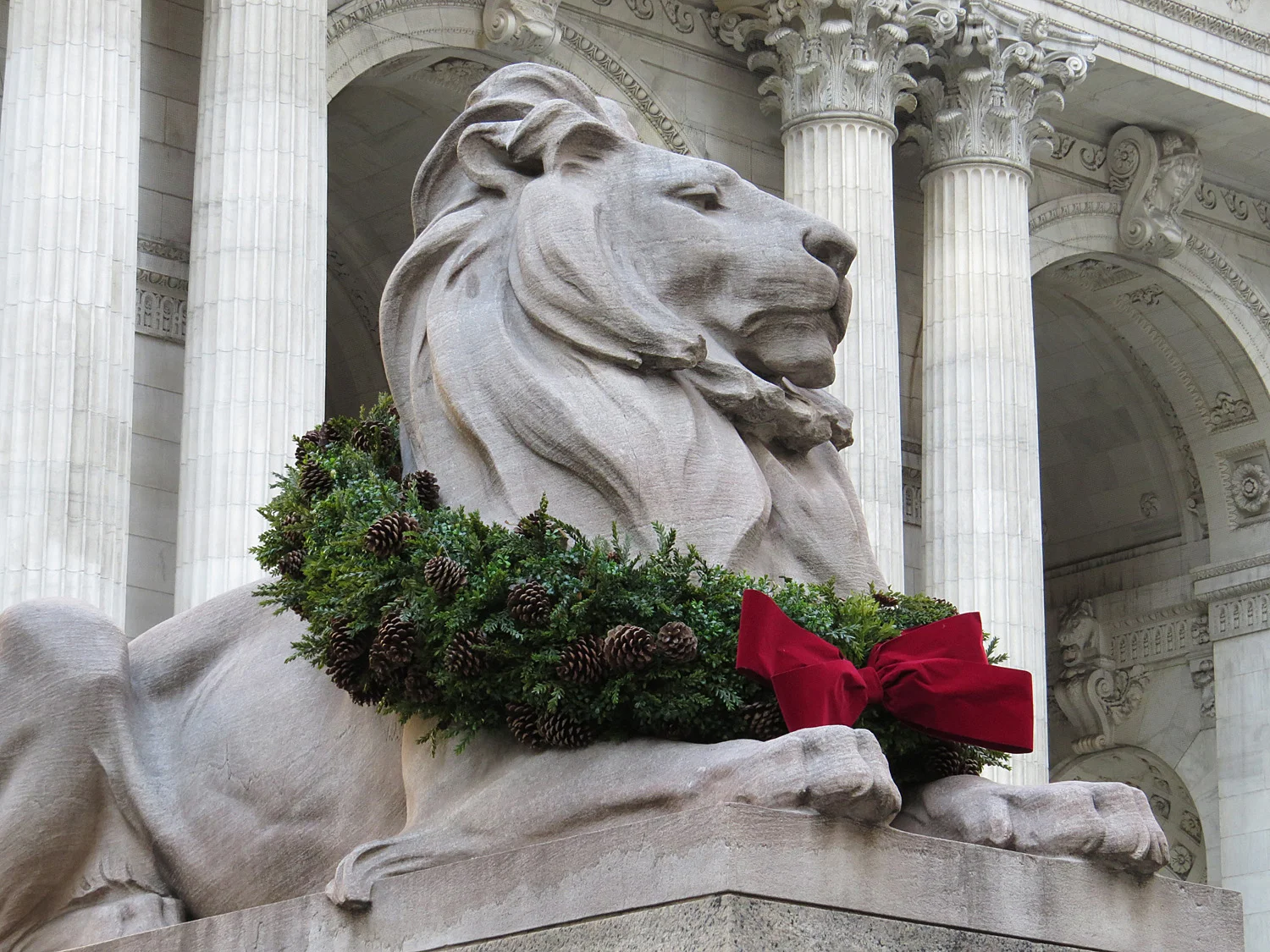 A New York Public Library lion, decked out in holiday style, coming soon!
