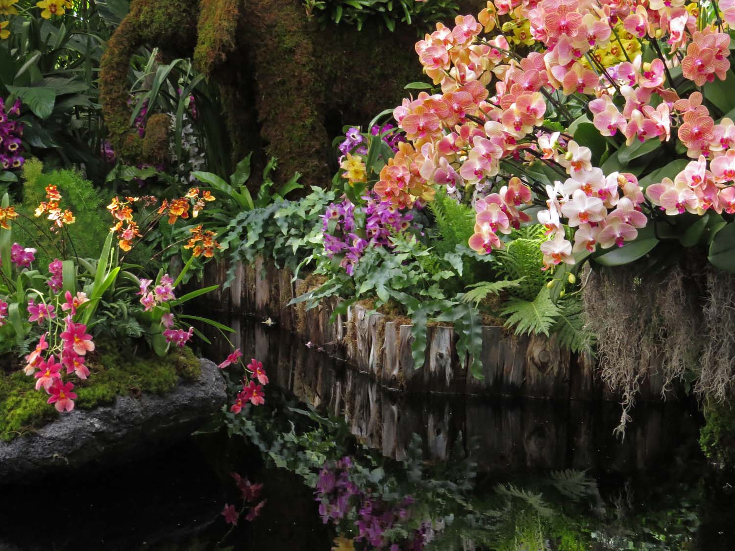Terreau orchidées botanic® - 4 L : Terres jardin Botanic® jardin - botanic®
