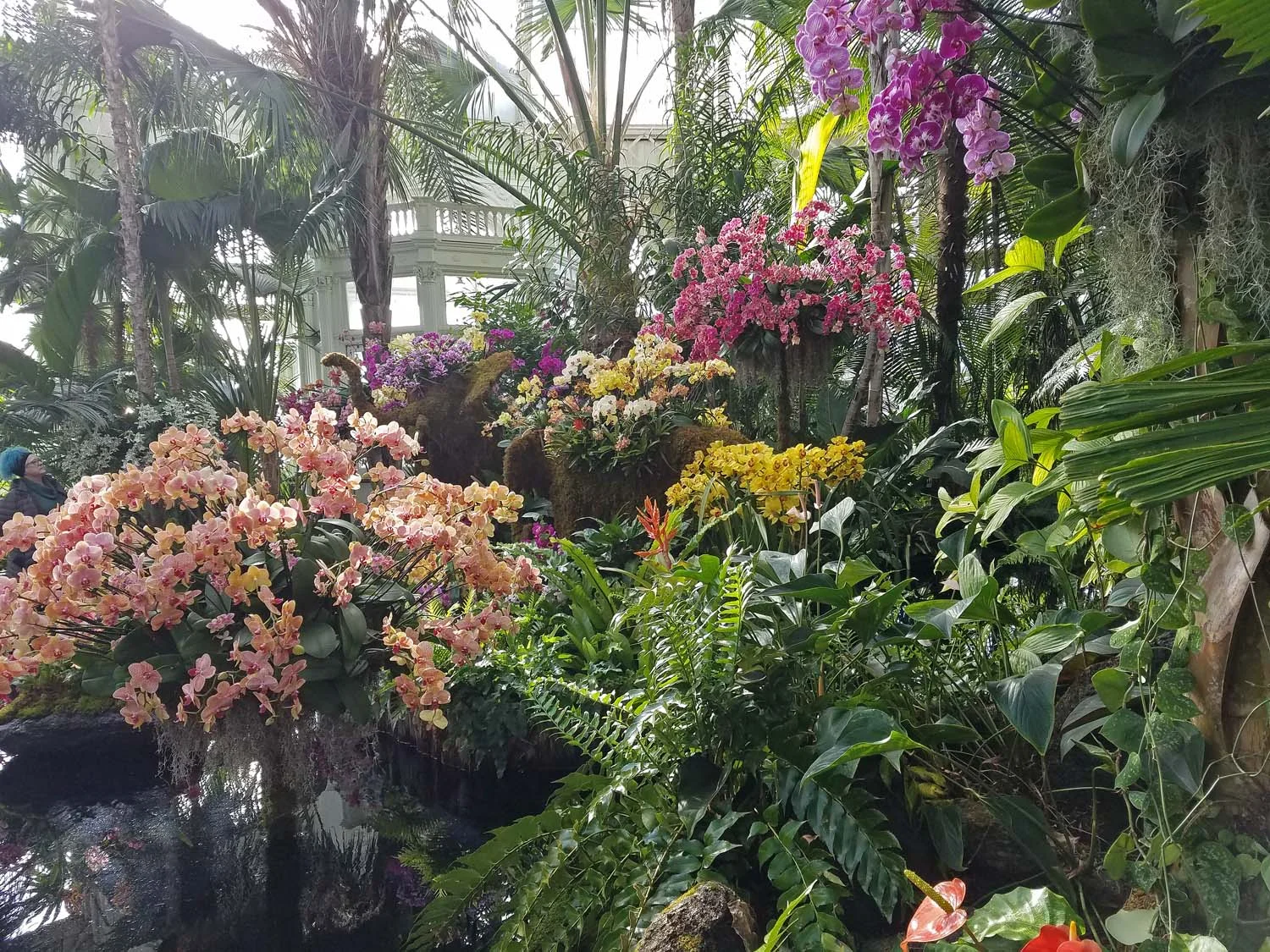 The Orchid Show: Thailand at the New York Botanical Garden, Bronx, New York