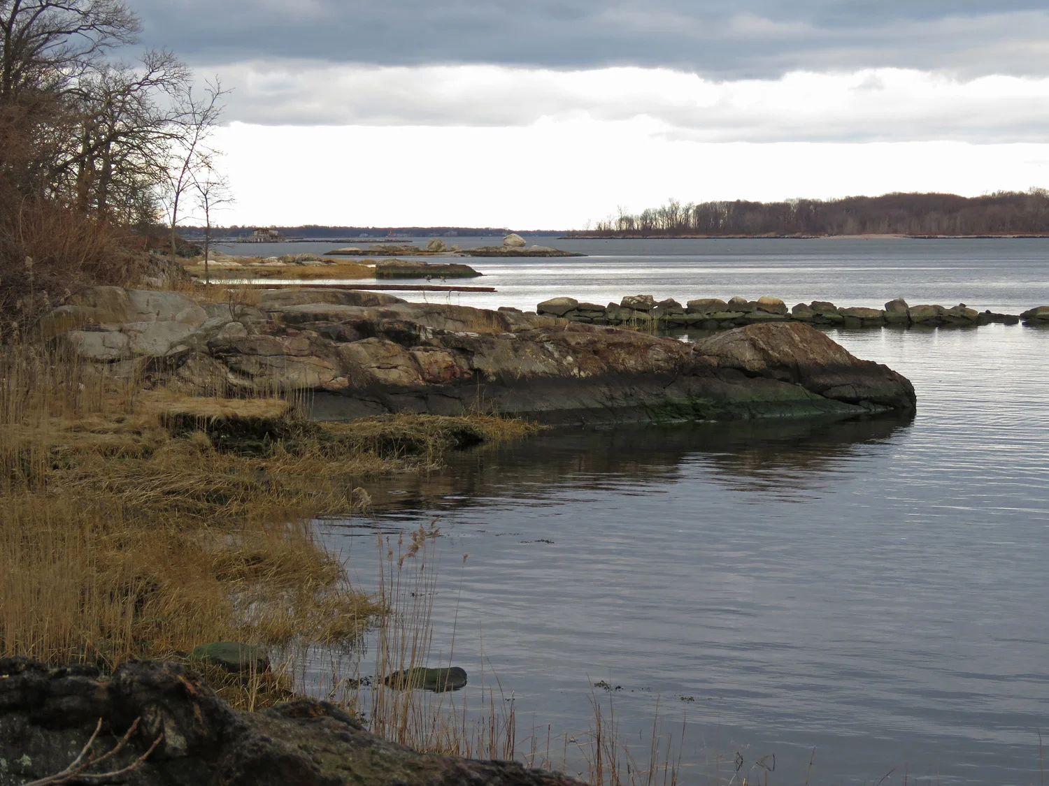 A view from Hunter Island, Pelham Bay Park, the Bronx, January 9, 2019