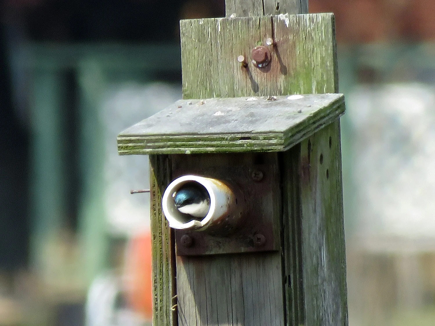 Where is dinner? May 17, 2019