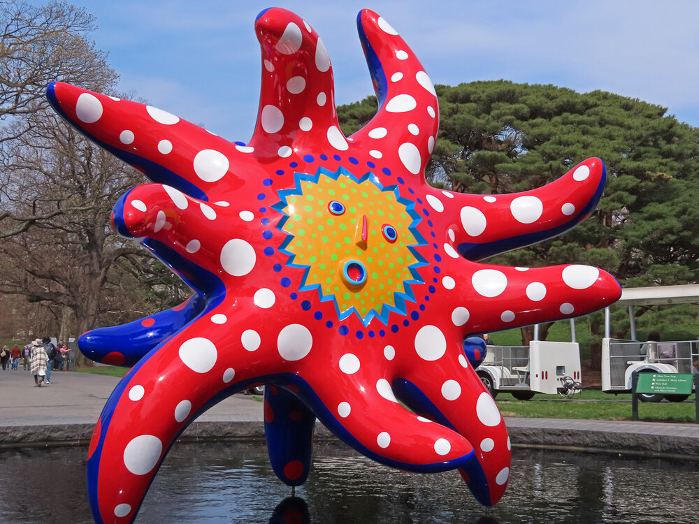 Kusama 1500 4-9-2021 NYBG CP 325P.jpg