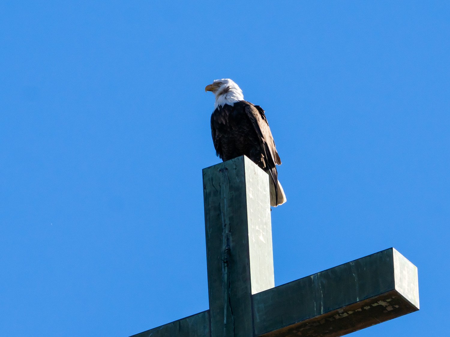 Eagle 1500 12-1-2025 SI 122P.jpg