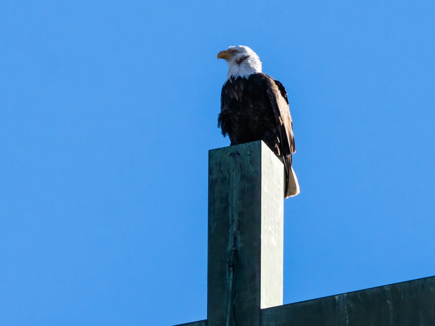 Eagle 1500 12-1-2025 SI 133P.jpg