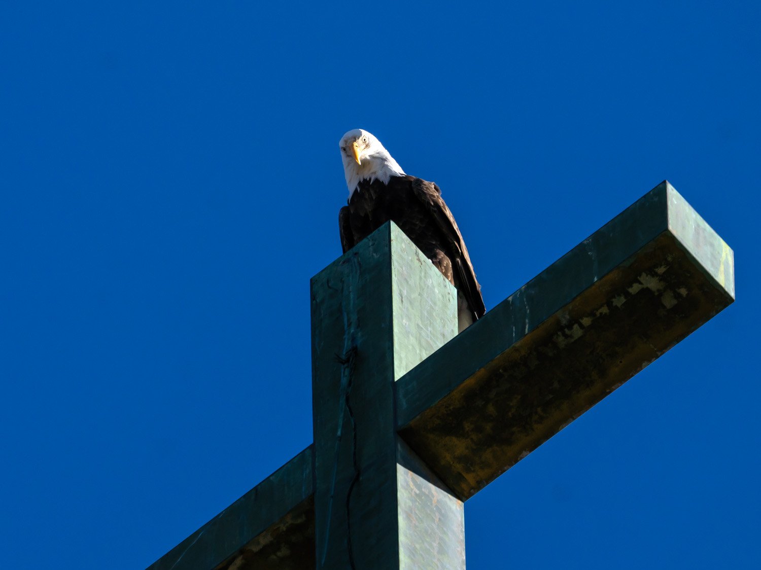 Eagle 1500 12-1-2025 SI 156P.jpg