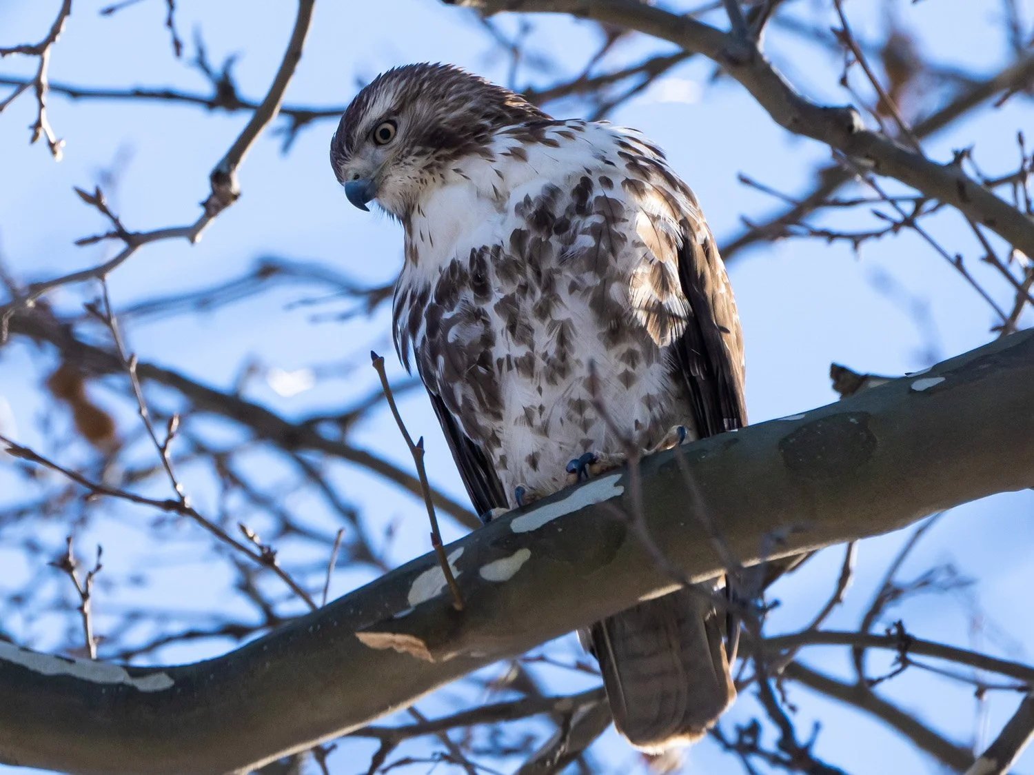 RTH 1500 2-5-2026 016P.jpg