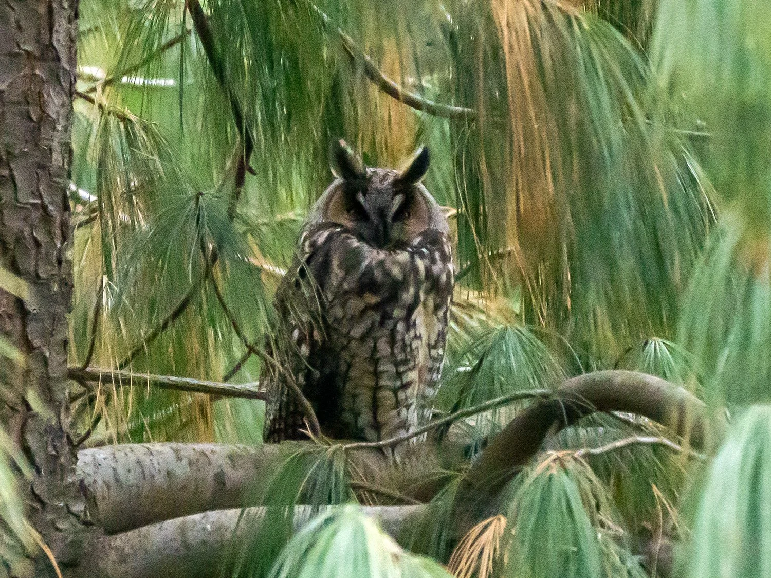 LEO 1500 2-2-2025 LEO 018P.jpg