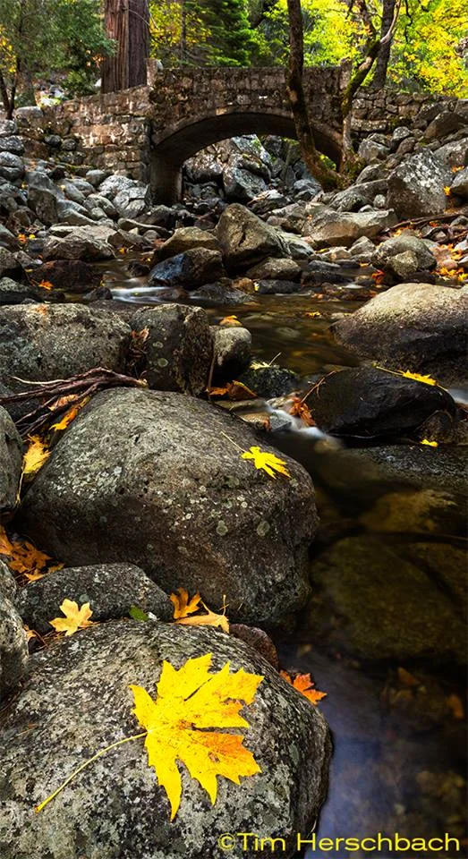 leafonbridalveilcreek.jpg