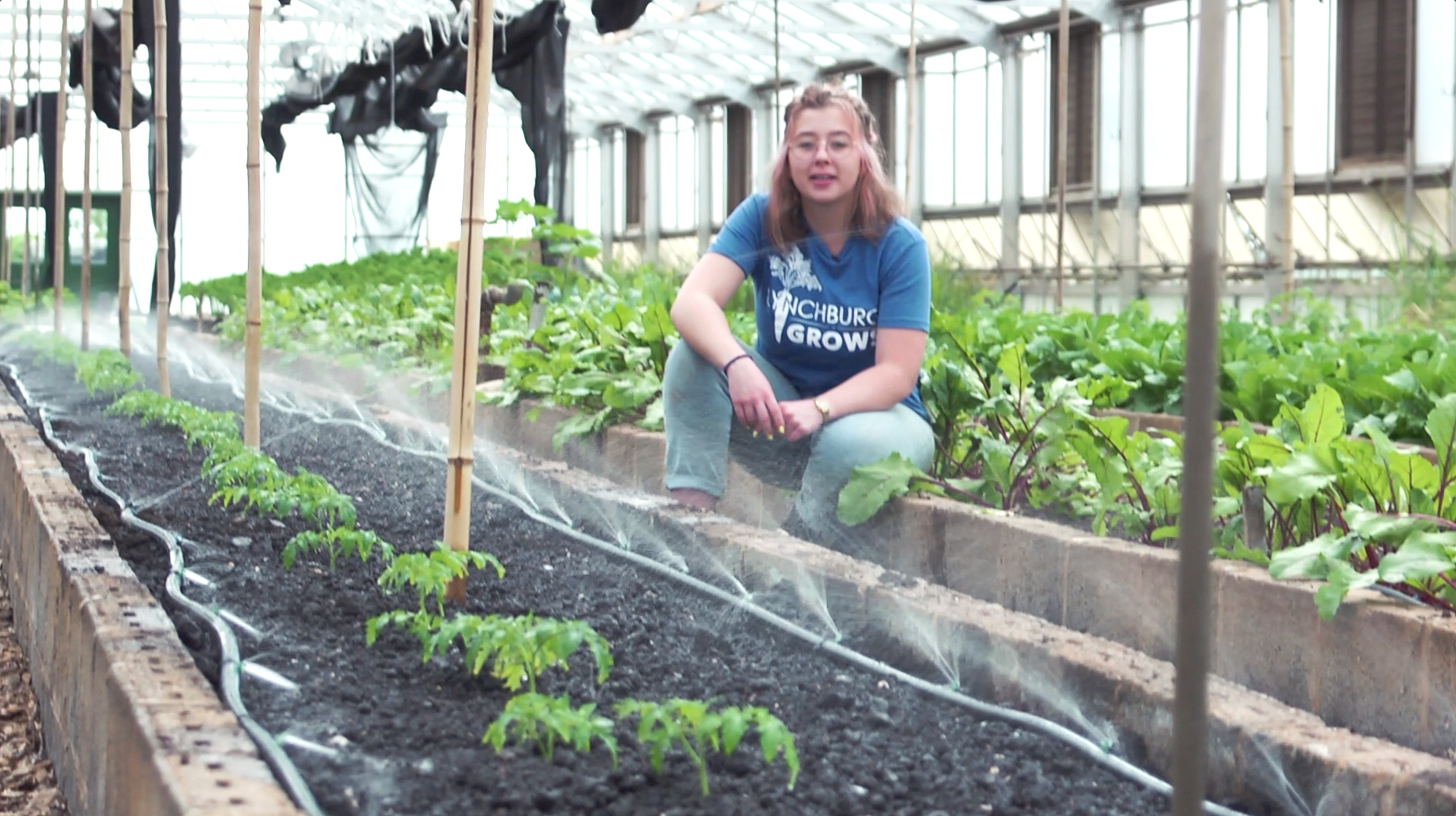  See how we provide everything our plants need inside the greenhouse. 