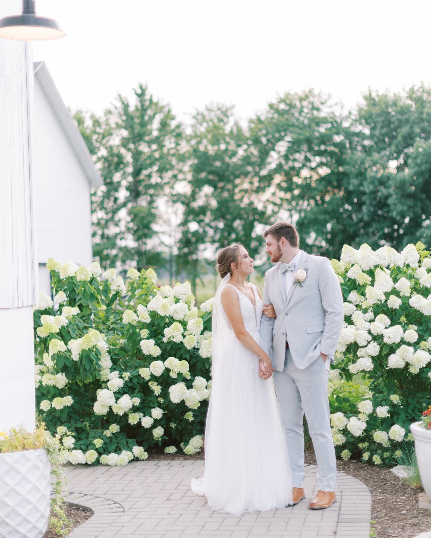 Just remember April showers bring May flowers! 🌸 We just love our hydrangeas and we know our couples and their photographers do too! Swipe to see them in all their glory 🥰&thinsp;
&thinsp;
#bluestemfarmandevents #barnwedding #realbarnwedding #illin