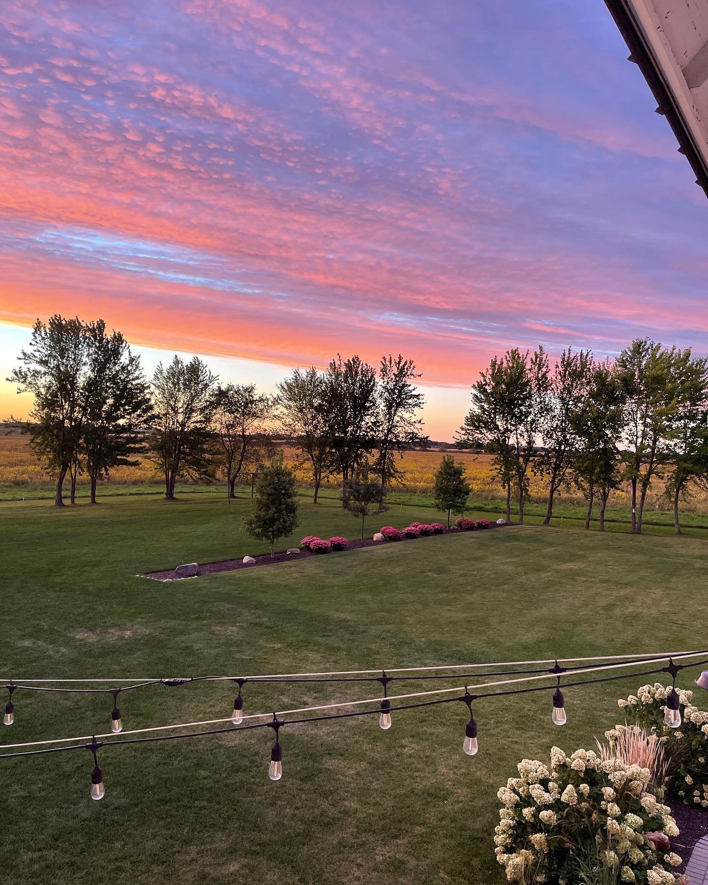 Sunsets are just better here. Swipe 👉🏻 to see why! #bluestemfarmandevents #barnweddingvenue #sunset #weddingbarn #realbarnwedding #historicvenue #illinoisbarnwedding #chicagowedding #lakegenevawedding #mchenrycountyil