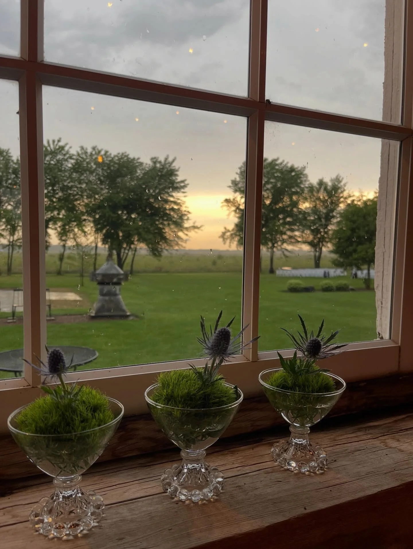 Cheers to 2025 🍾 #2026 is going to be one for the books! #bluestemfarmandevents #barnwedding #realbarnweddingvenue #illinoisbarnvenue