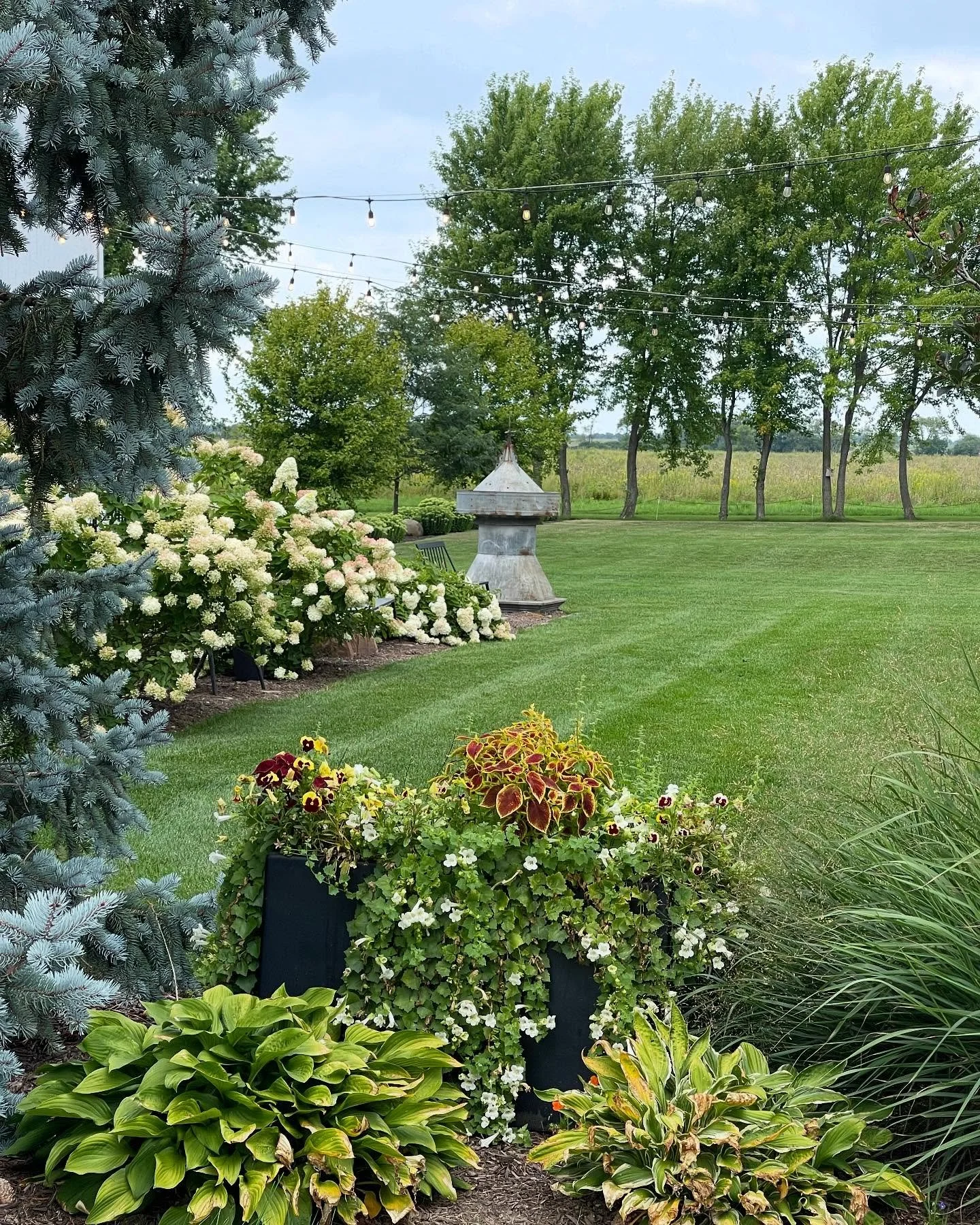 How about we manifest some warmer weather ☀️ Here are some lovely pictures throughout the years to put us in a warmer mindset 🤩 #bluestemfarmandevents #barnweddingvenue #realbarnweddingvenue #rusticwedding #summerweddings #chicagoweddings #lakegenev