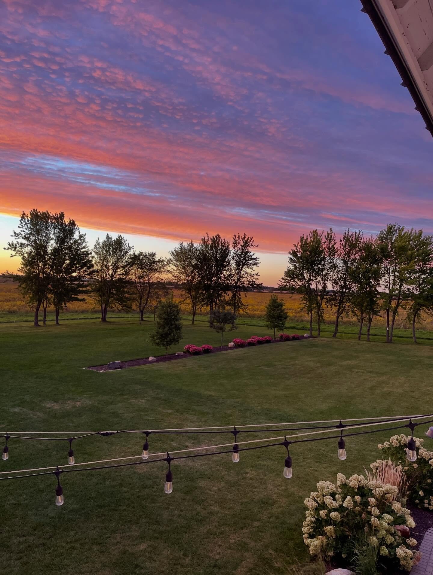Only three more weeks until we see those famous sunset photos! #bluestemfarmandevents #realbarnweddingvenue #lakegenevawedding #chicagoweddings