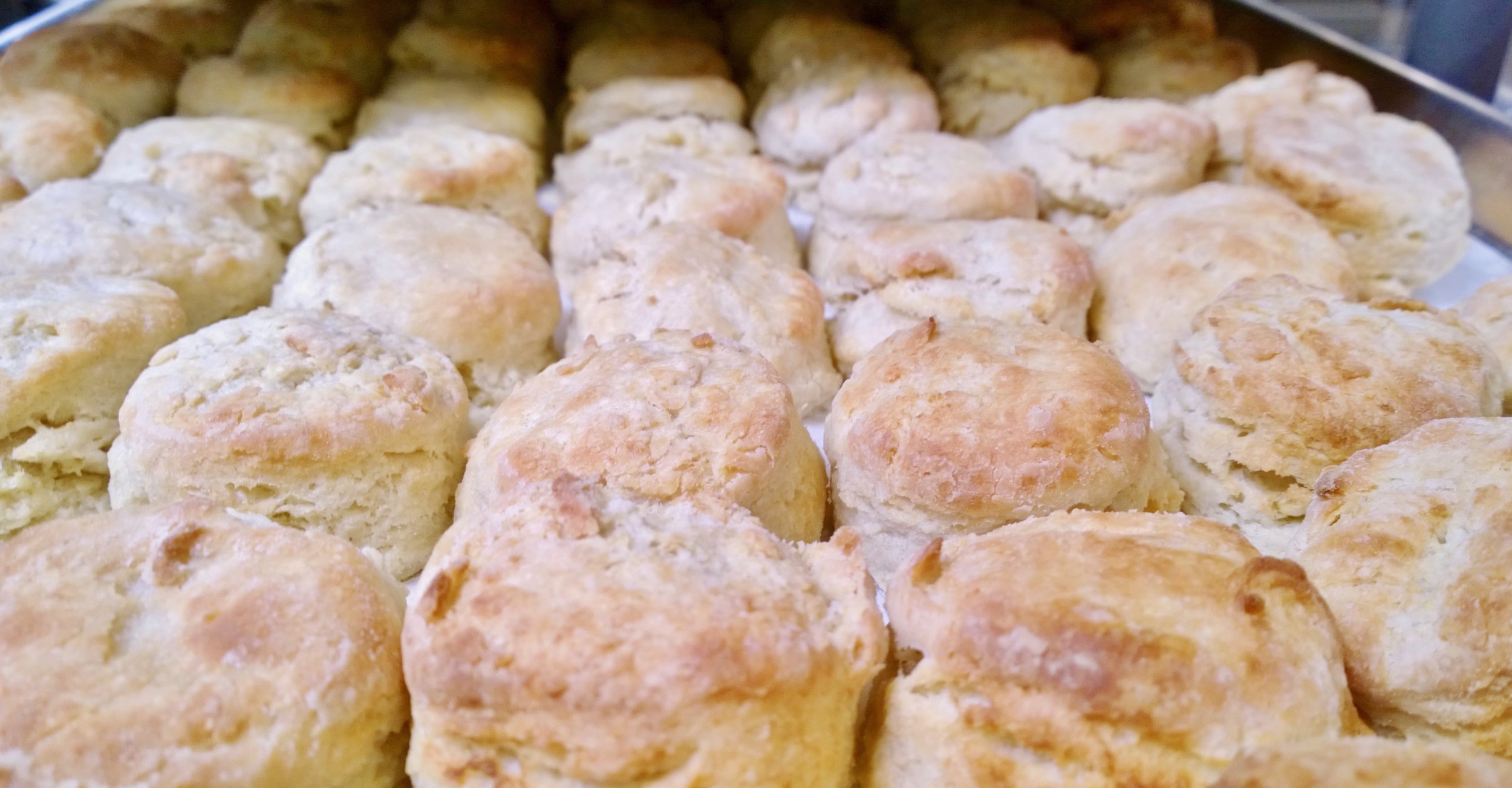 Biscuits.jpeg