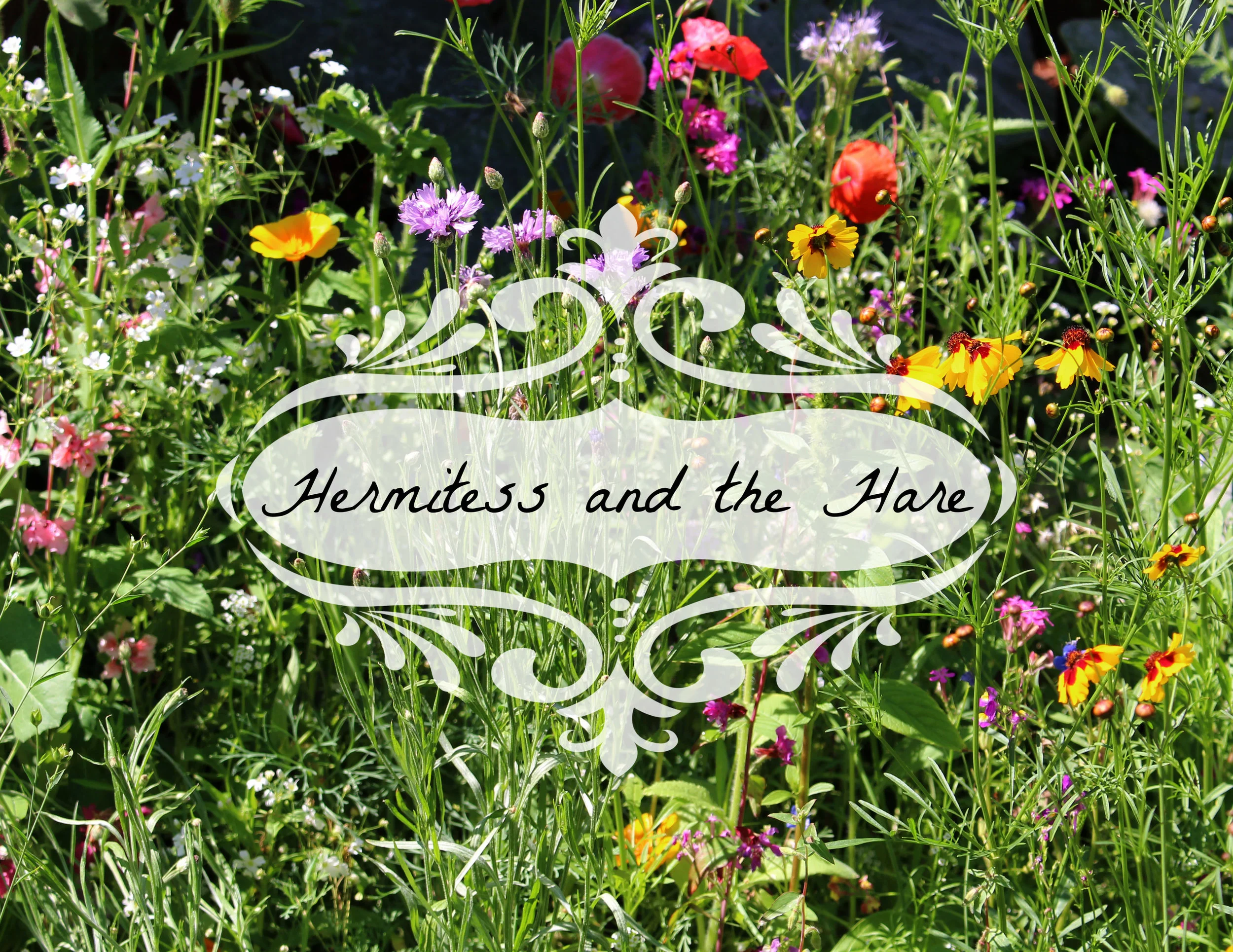 SECRET GARDEN banner.jpg