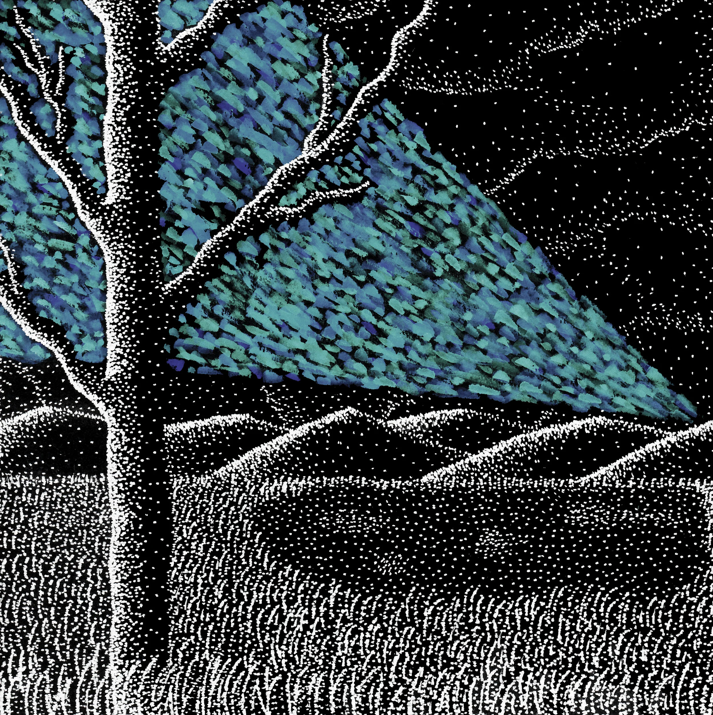 "Night Tree" 6 X 6 Art Print