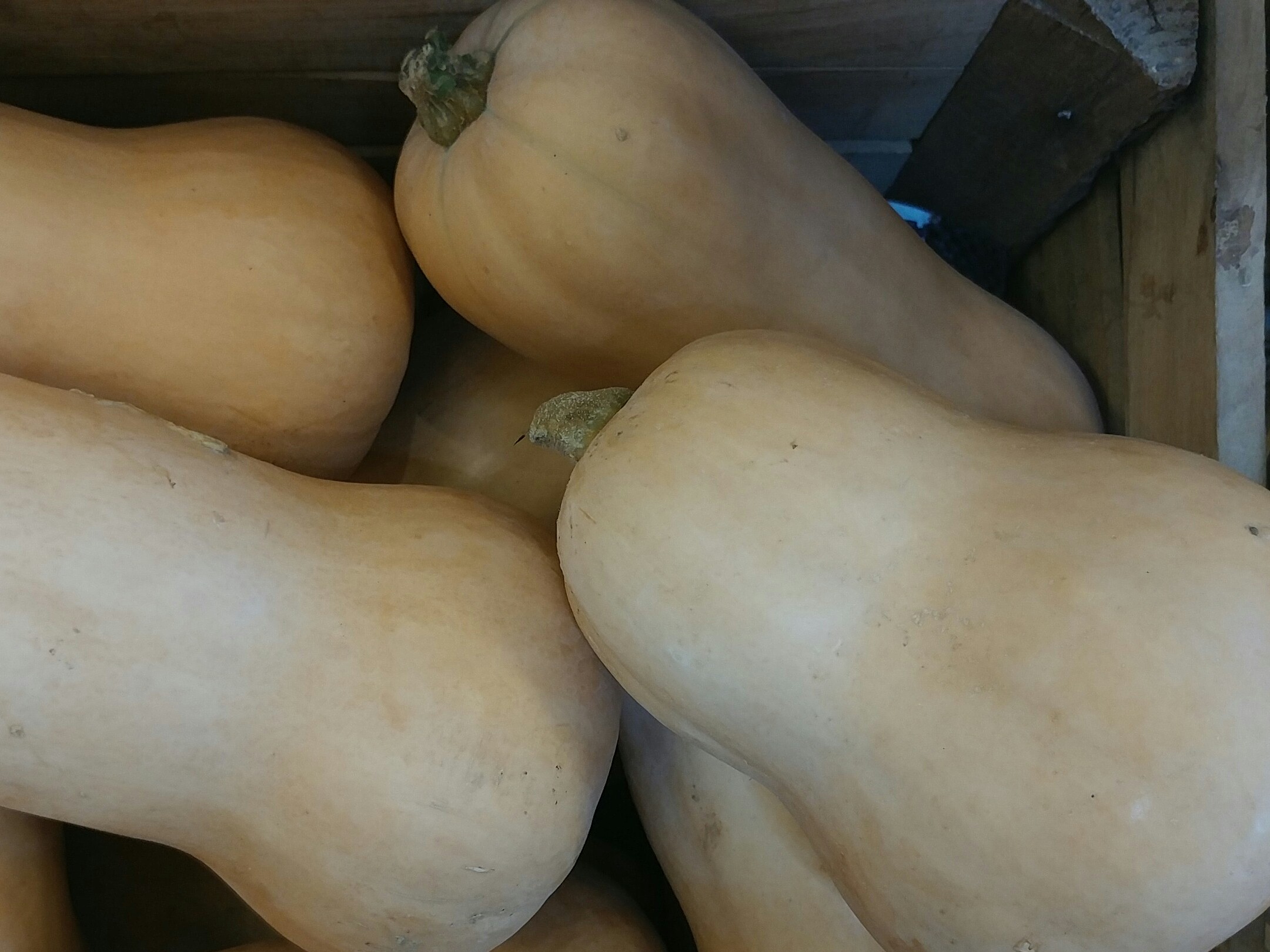 Butternut and Apple Cider Soup