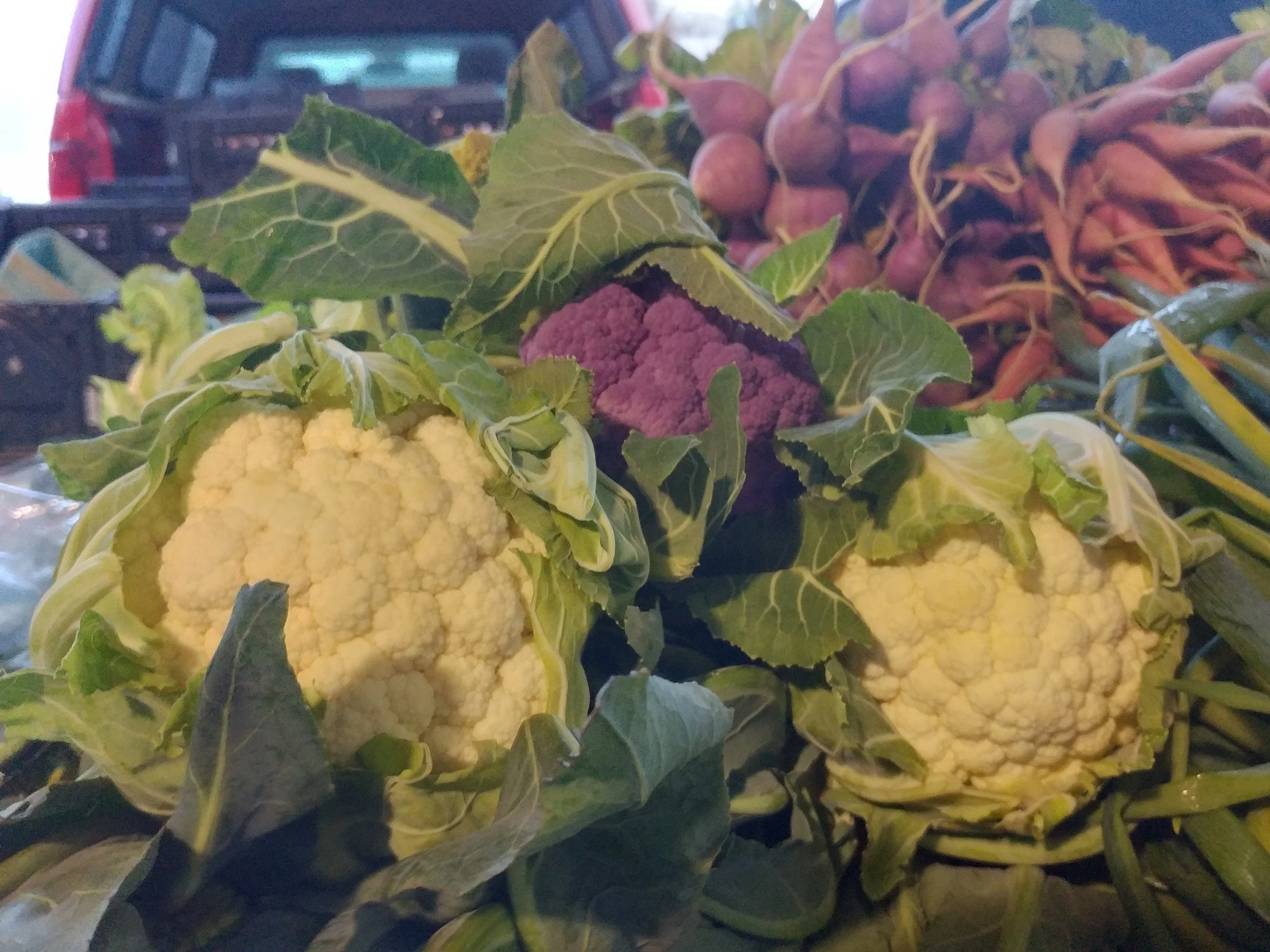 Cauliflower Stuffing