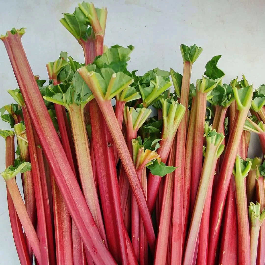 Rhubarb - Pineapple Salsa