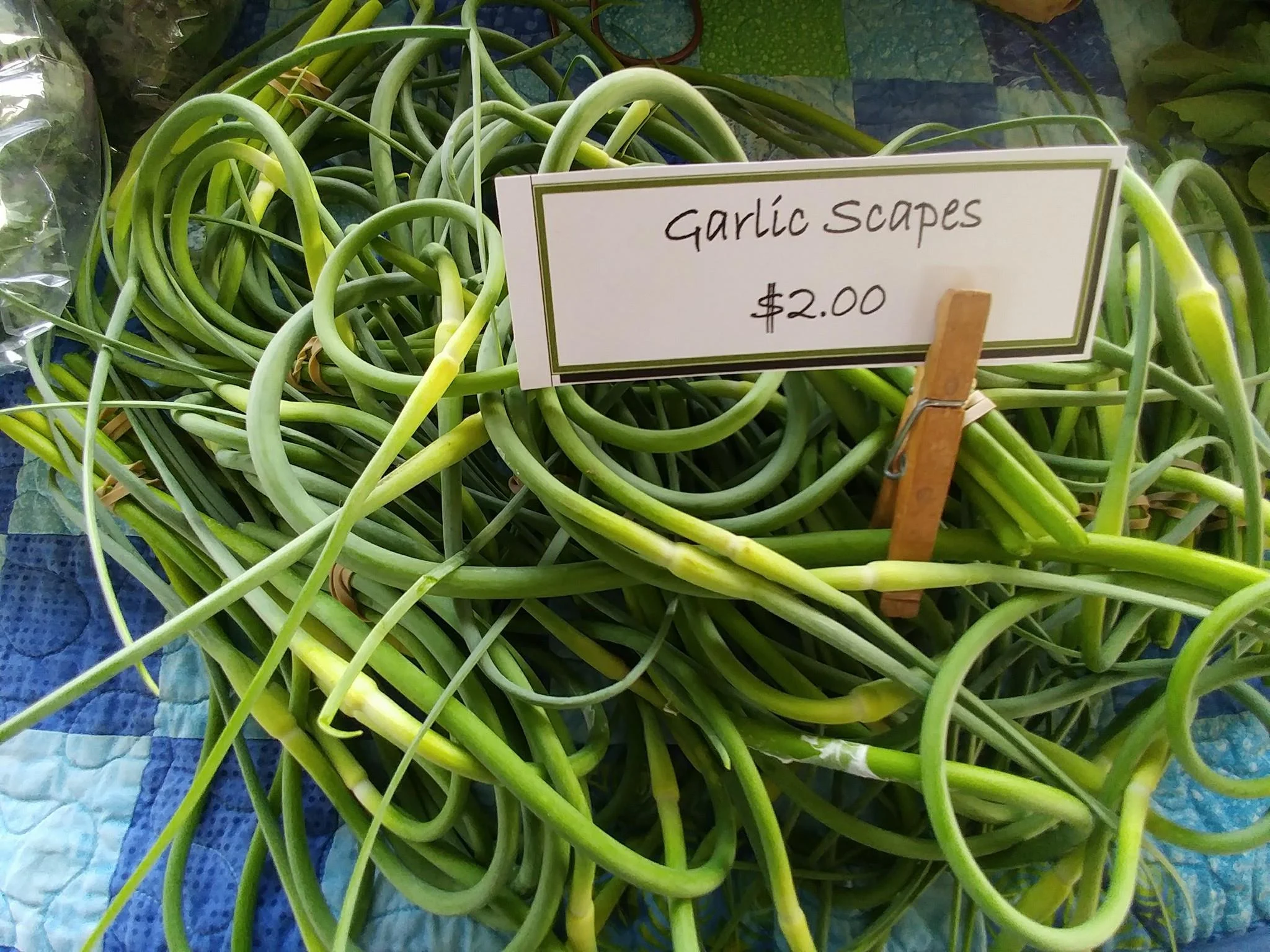 Garlic Scapes and Beans