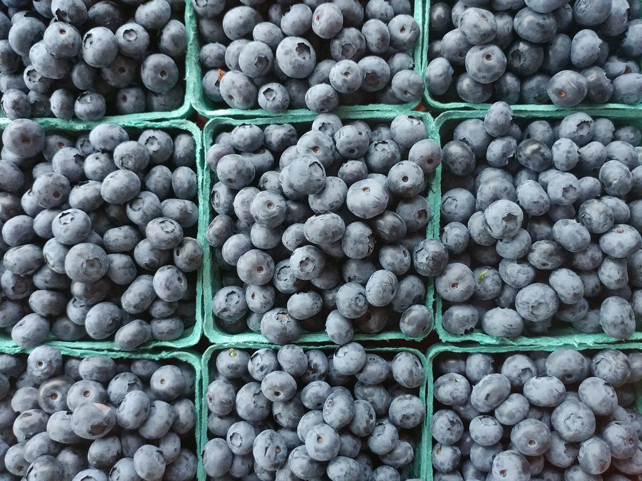 Blueberry Chia Seed Jam