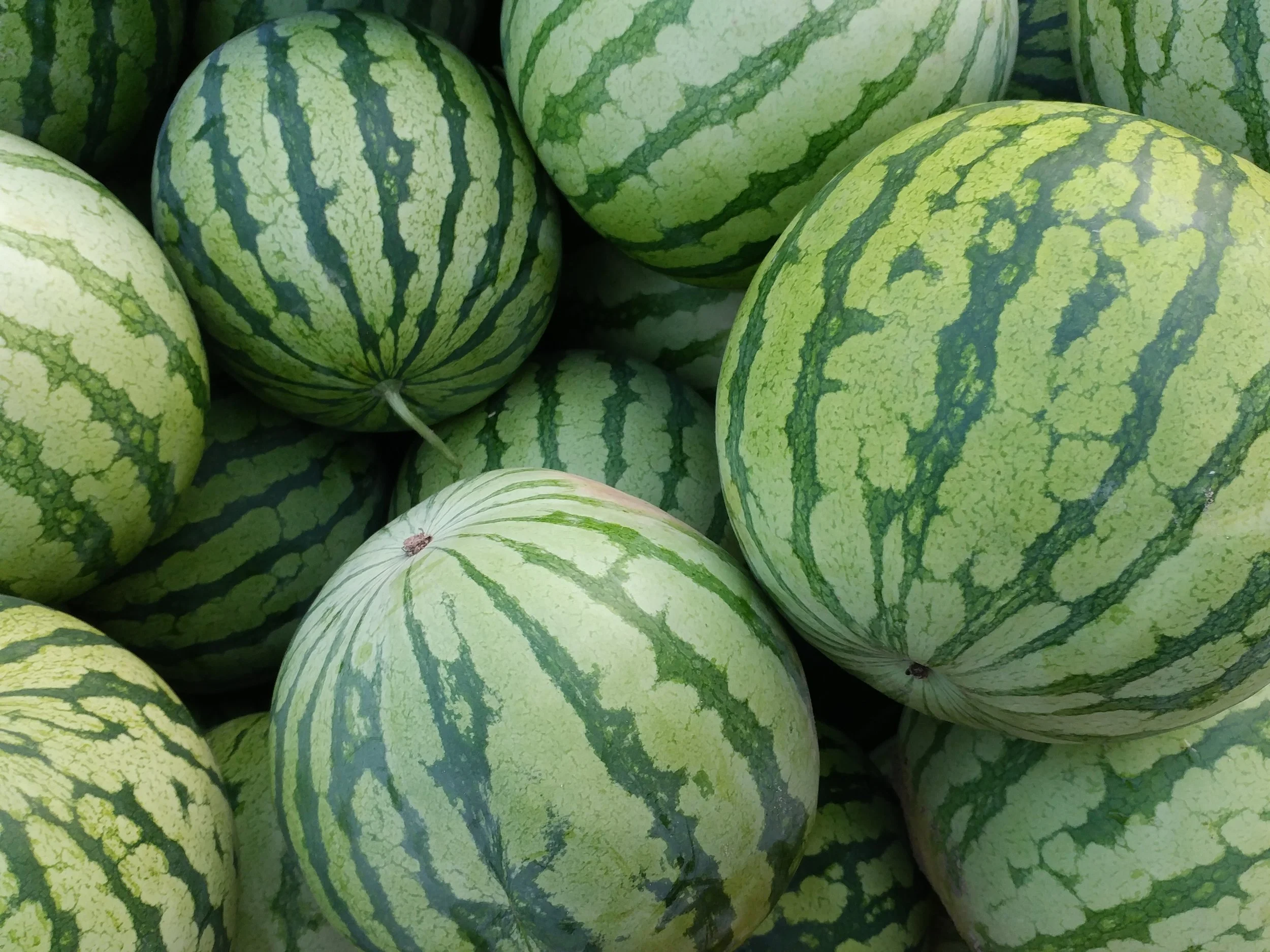 Watermelon Summer Salad