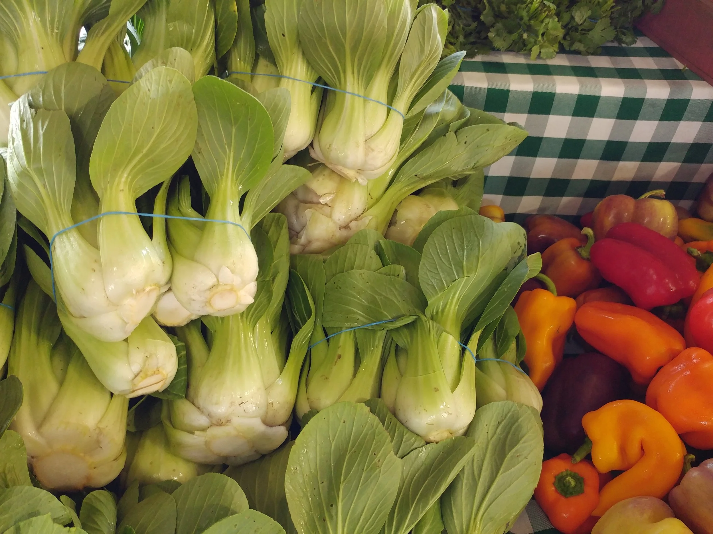 Sauteed Ginger Bok Choy