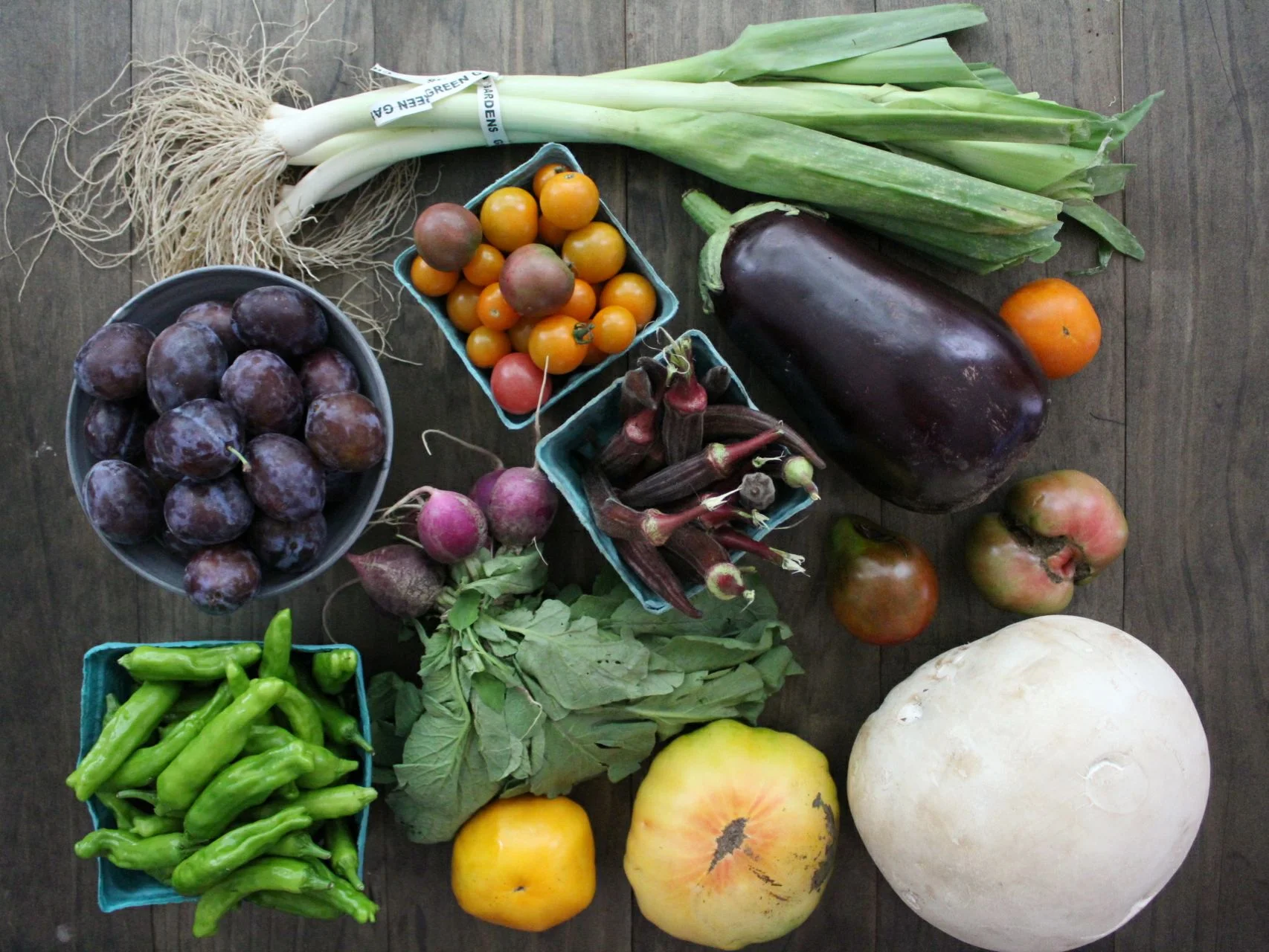 Week 19- Puffball Mushrooms
