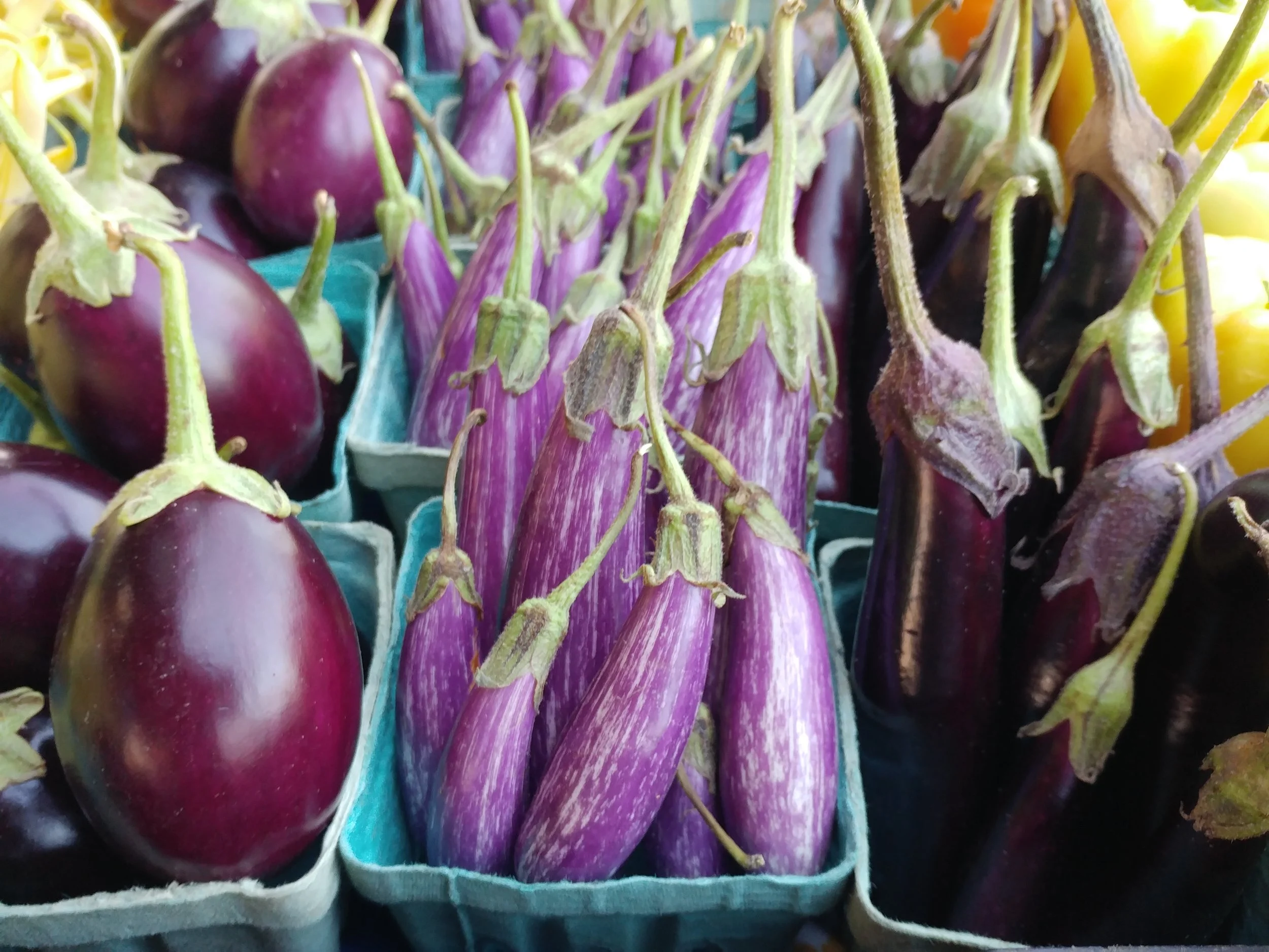 Stove Top Ratatouille