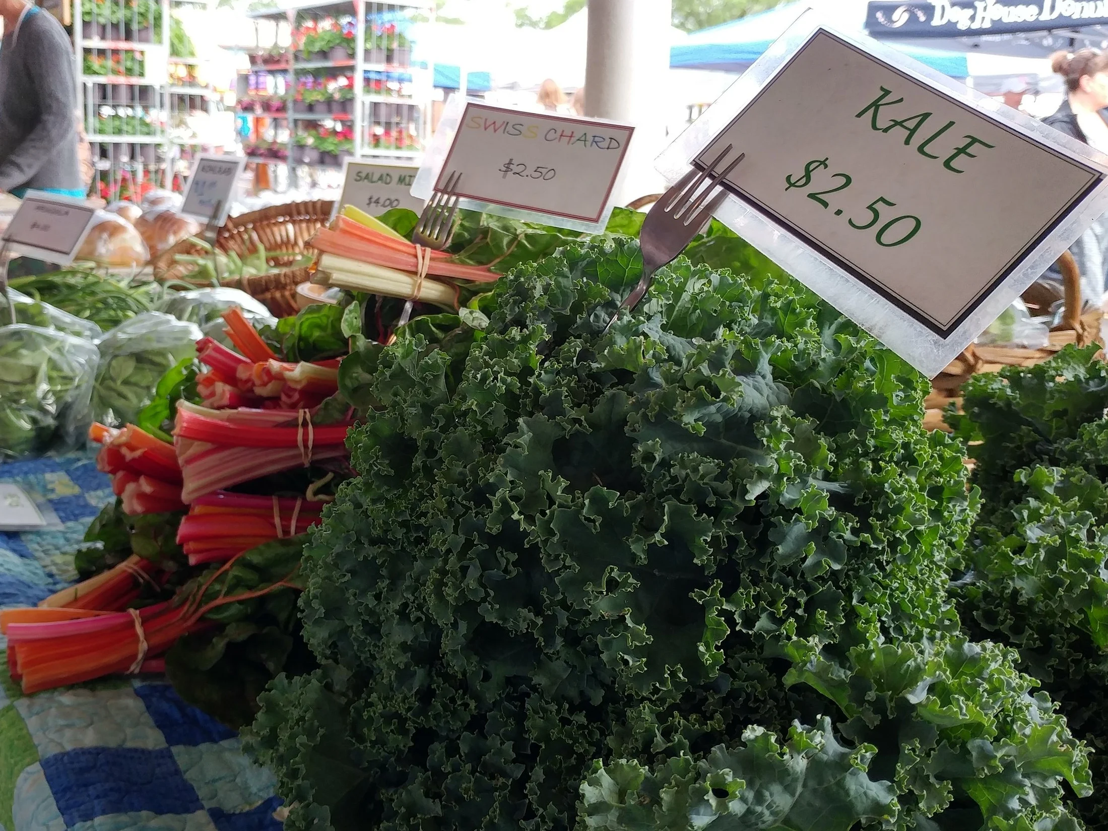 Kale, Quinoa, and Cherry Salad