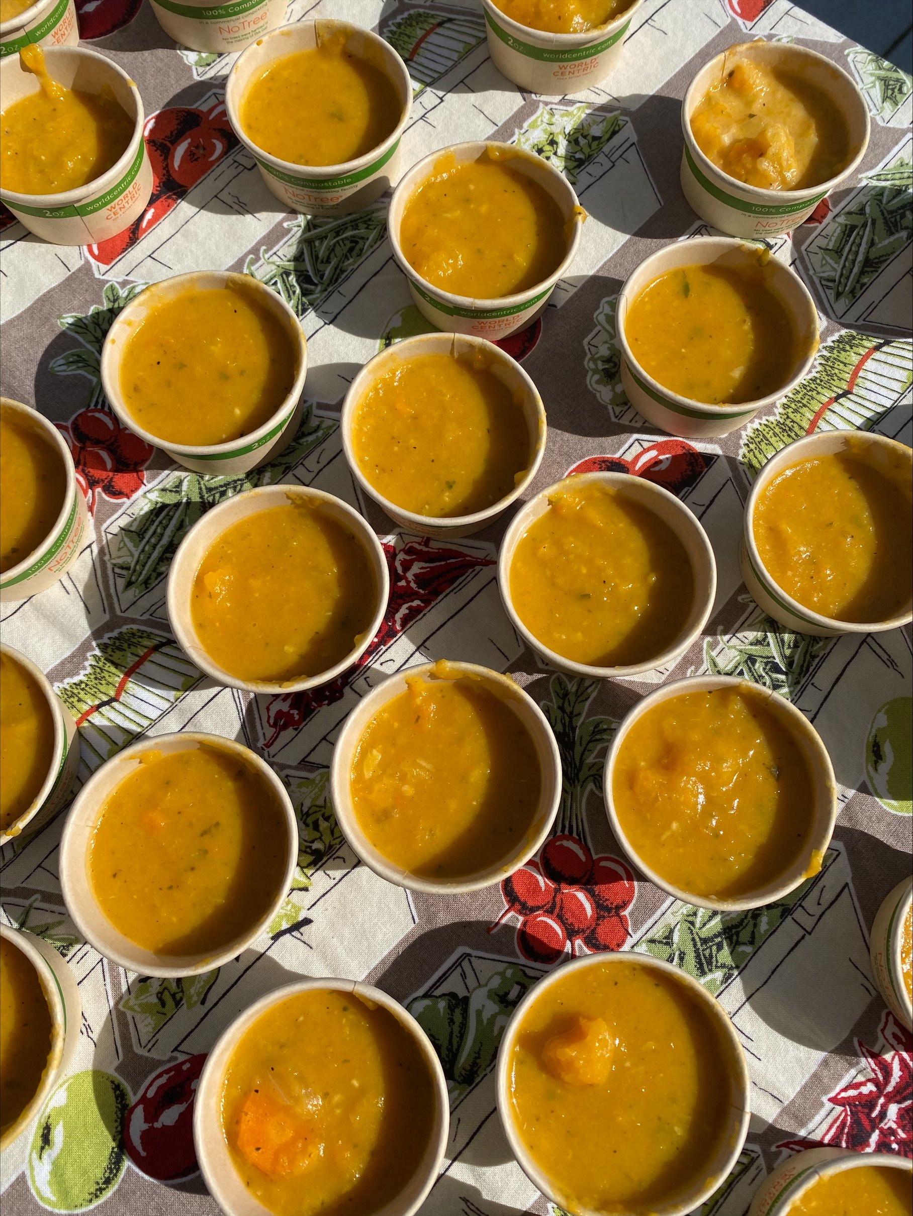 Butternut Squash Soup