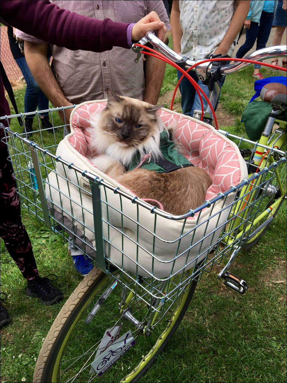 Bike basket Himalayan