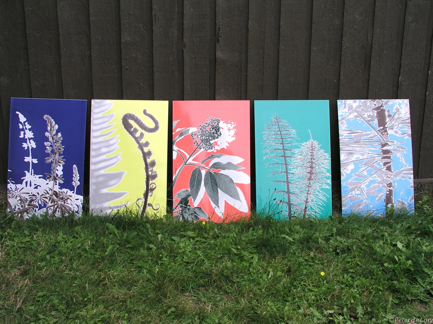 5 way finding signs, Lupine, Fern, Elderberry, Equisetum, Leaves on Water, 17"x27" each, enamel on steel, 2004