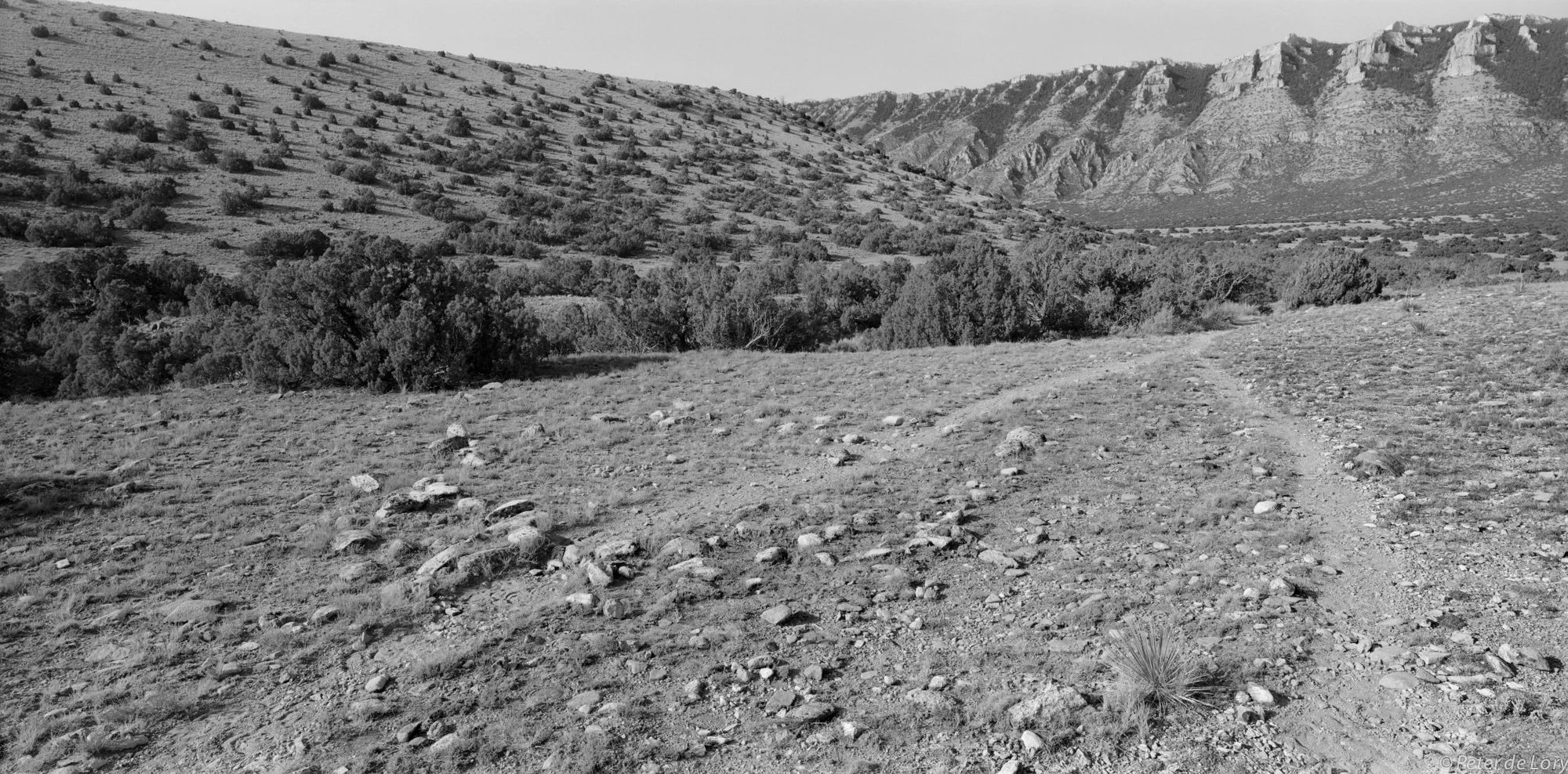 Tipi Rings with Wild Mustang Trail #10, Pryor Mt., Bad Pass Trail, MT, 2013