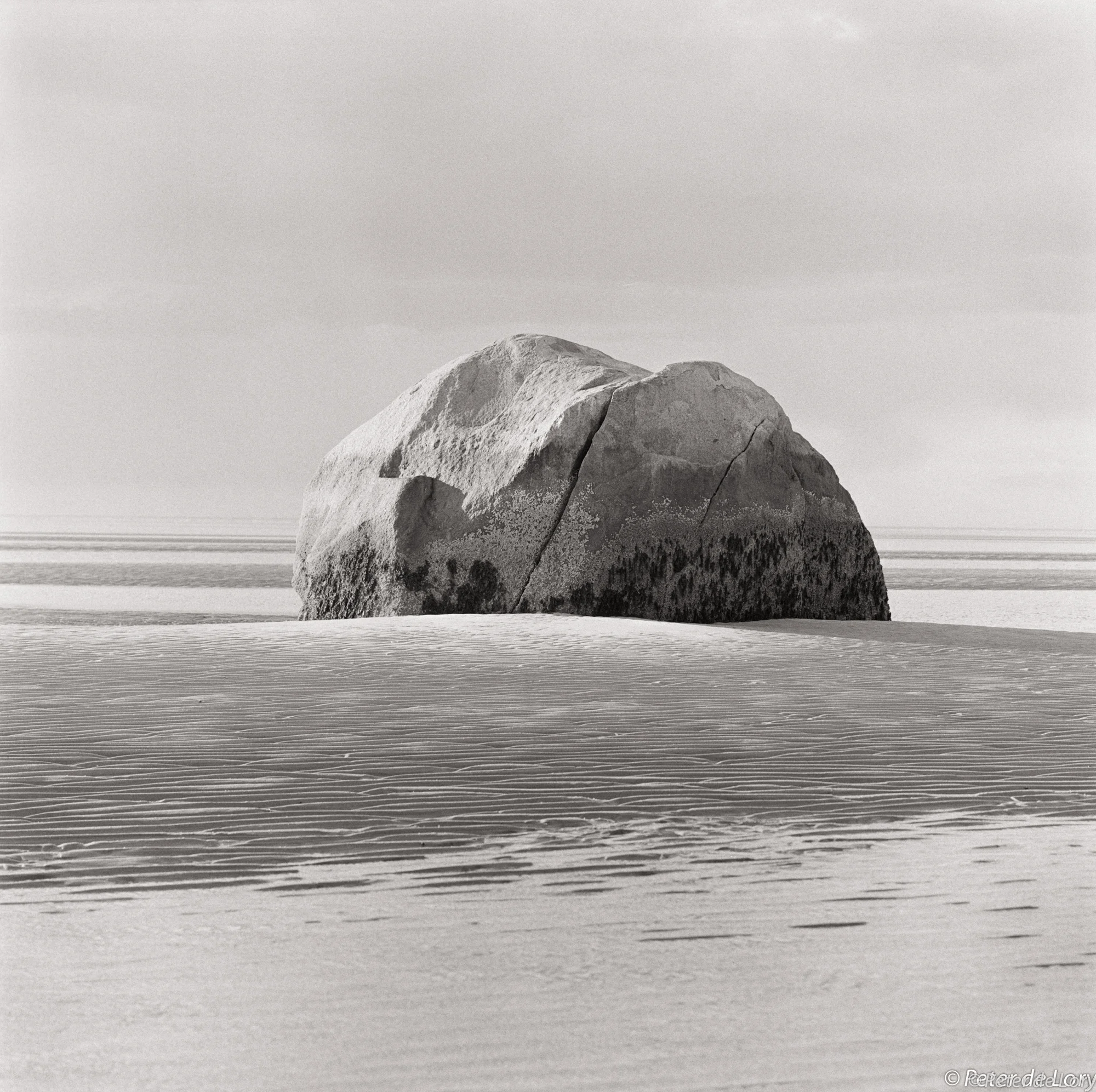 Rock Harbor Rock, 2009