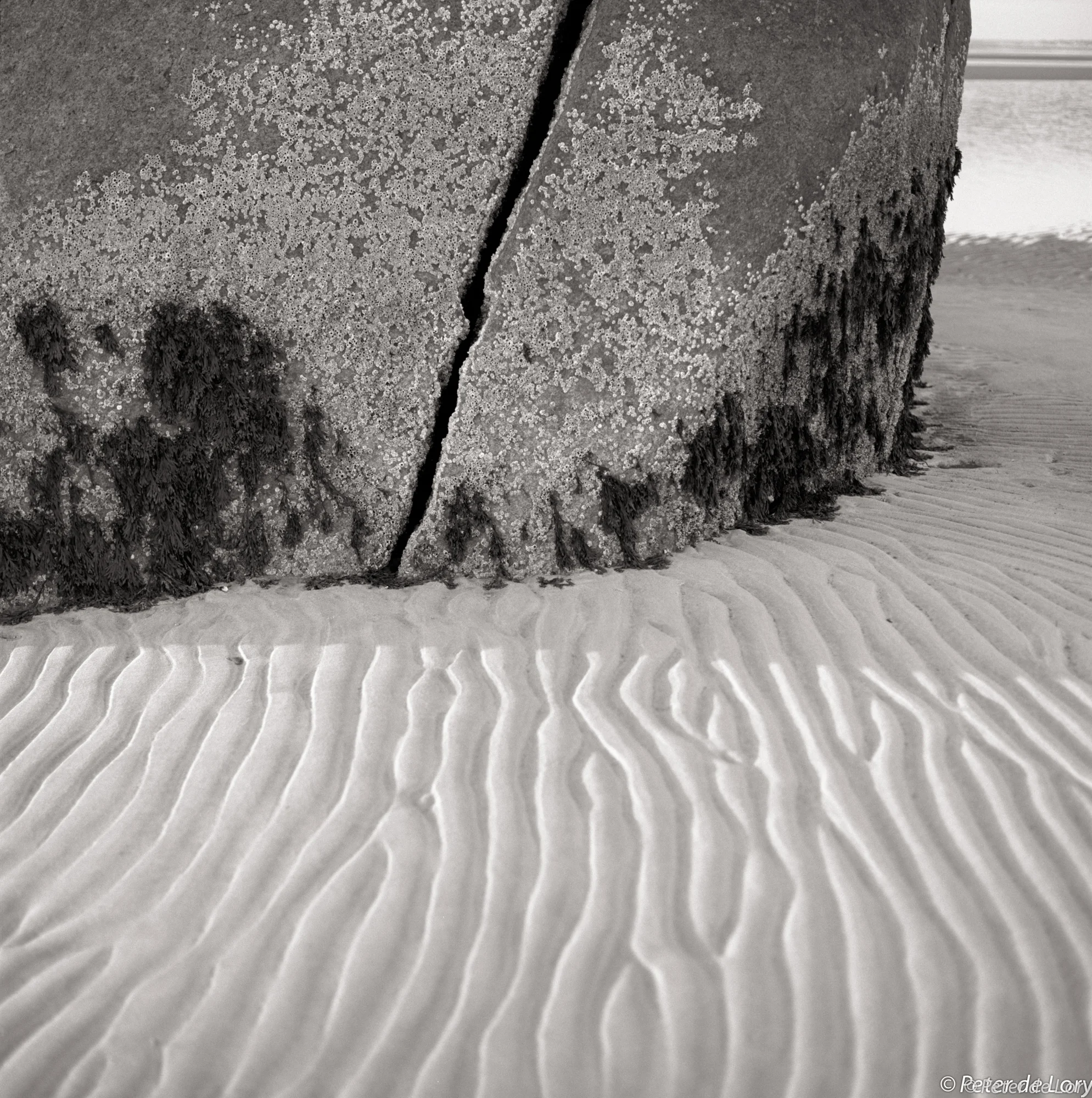 Detail, Rock Harbor Rock, 2011