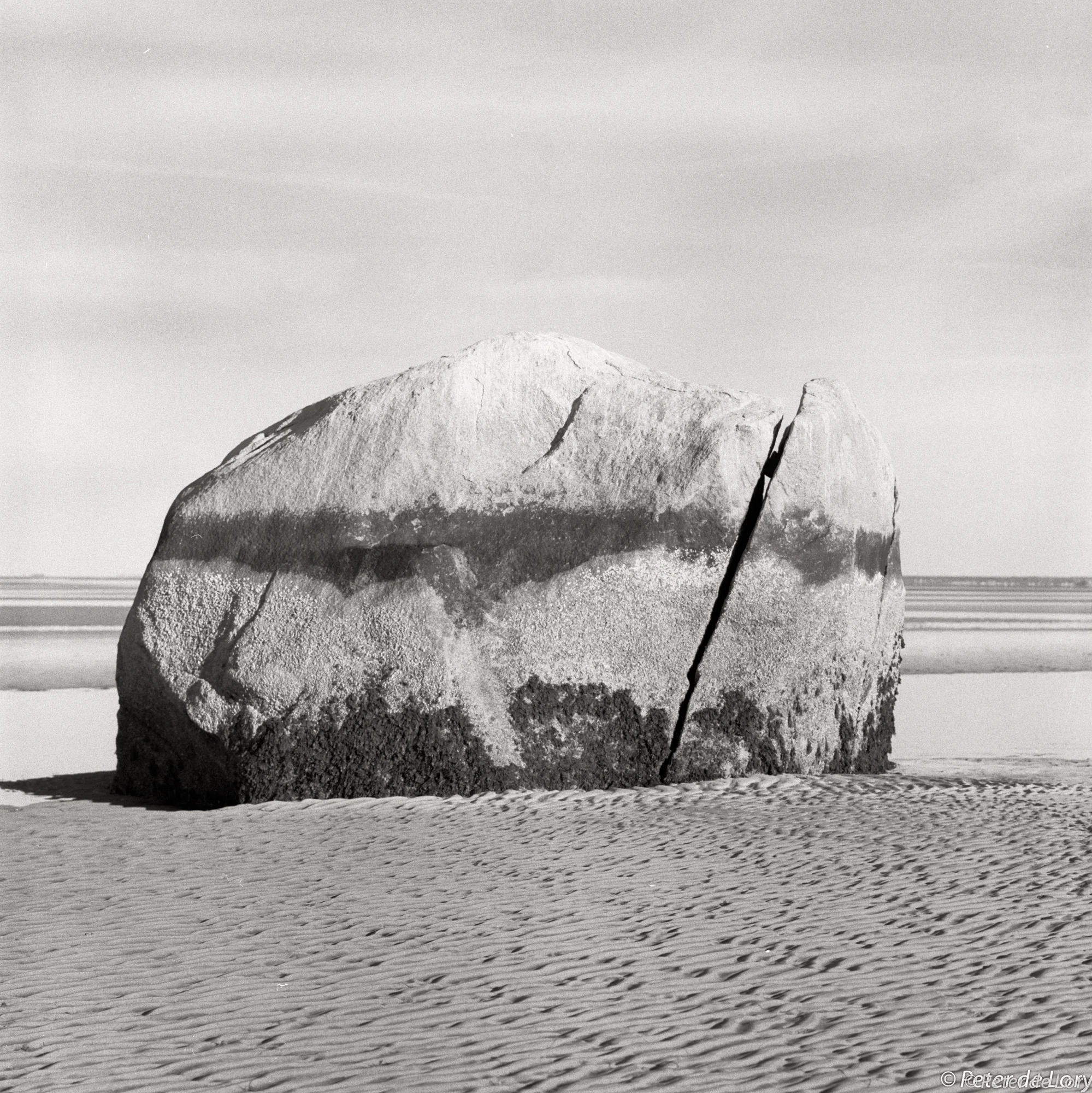 Rock Harbor Rock, 2001