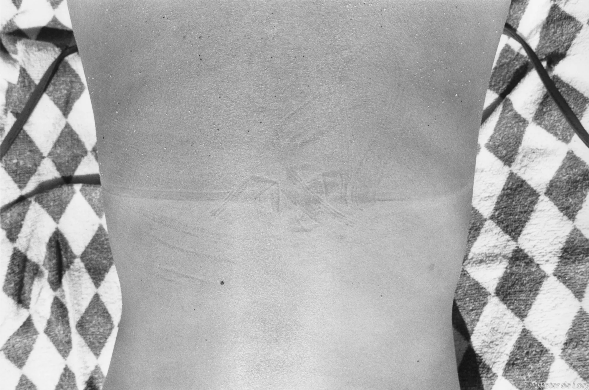 Andy Sunning, Rock Harbor, Eastham, 1973