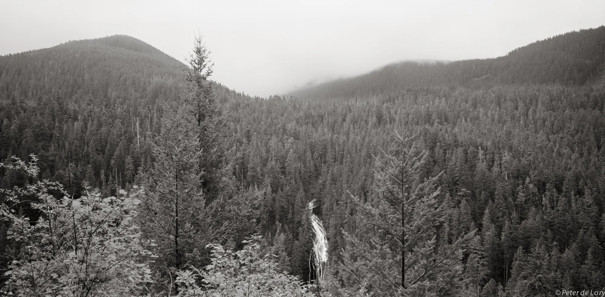Lava Falls, near Mt.Rainier, WA, 2012