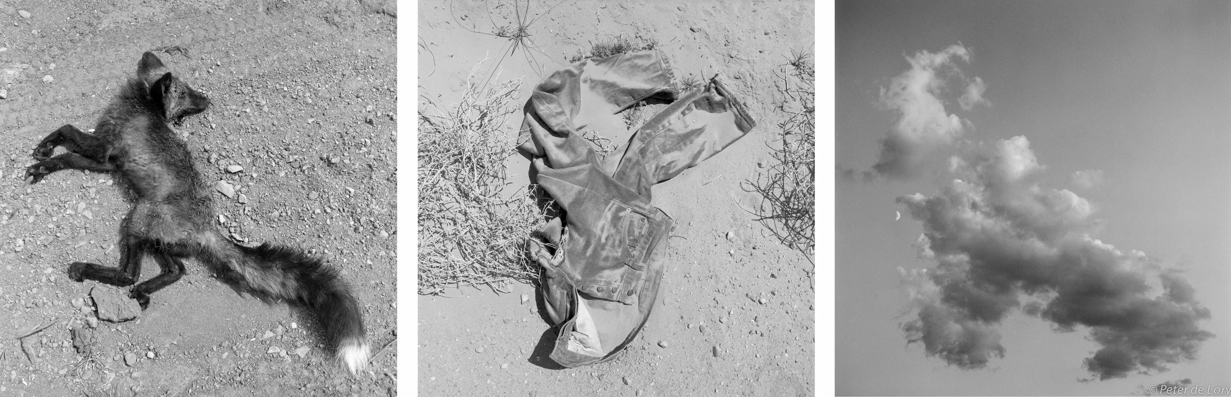 Falling from Grace Fox, Route 93, Idaho - Blue jeans, Utah - Desert cloud and moon, Utah, 1994