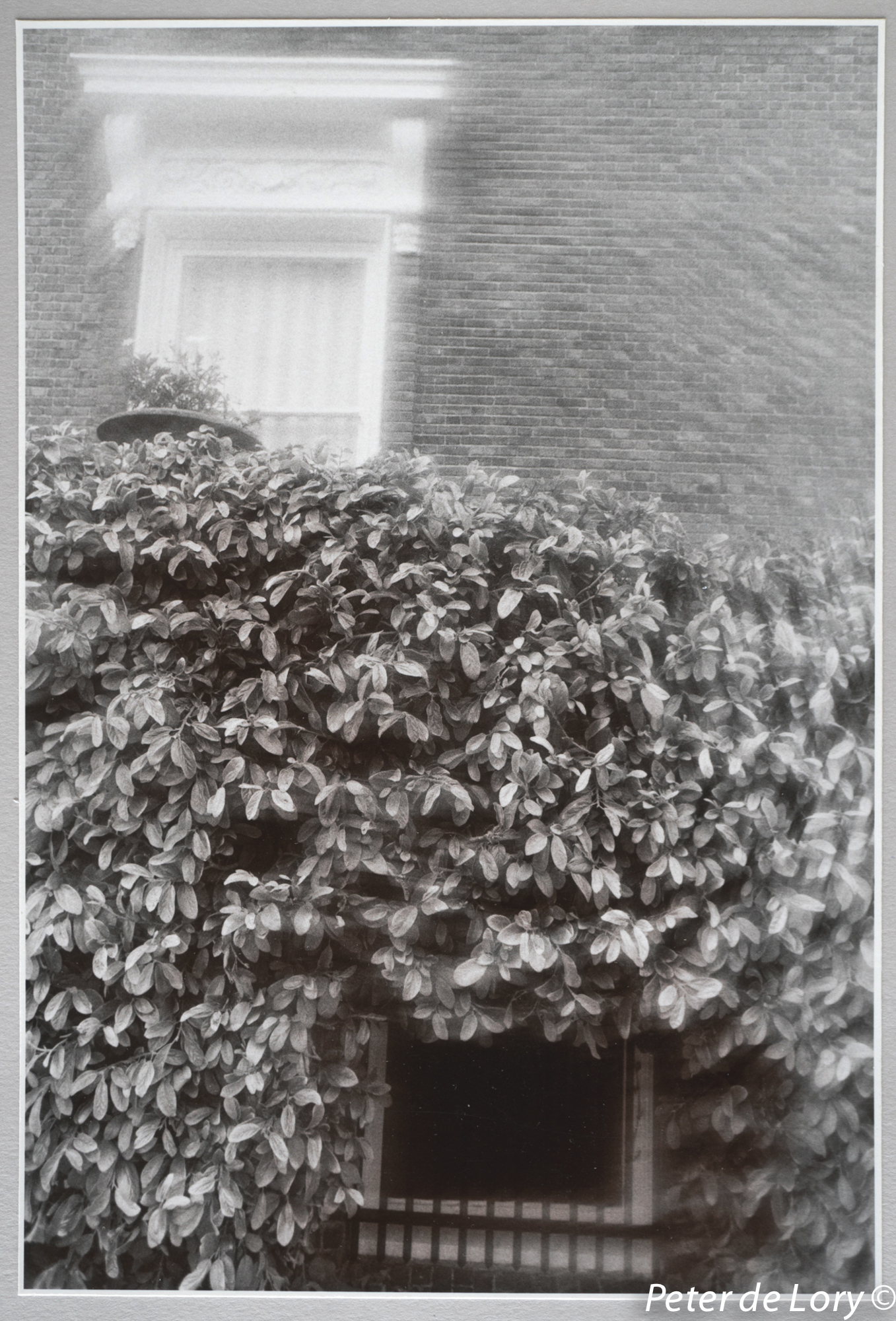 Upstairs Downstairs, The Mansions Series, 1971
