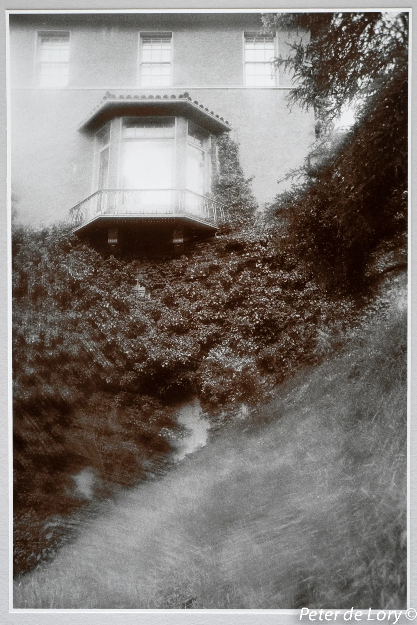 Hillside, The Mansions Series, 1971