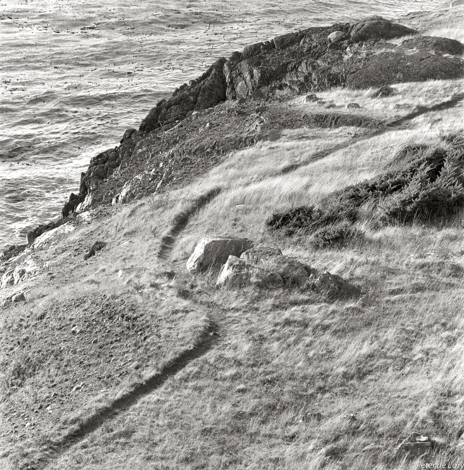 Iceberg Cliff Path.jpg